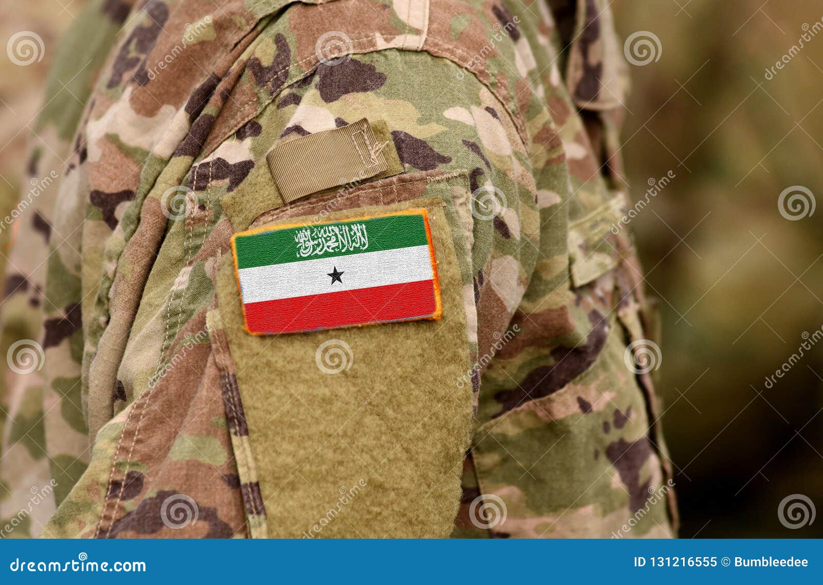 Republic of Somaliland Flag on Soldiers Arm. Somaliland Army C Stock ...