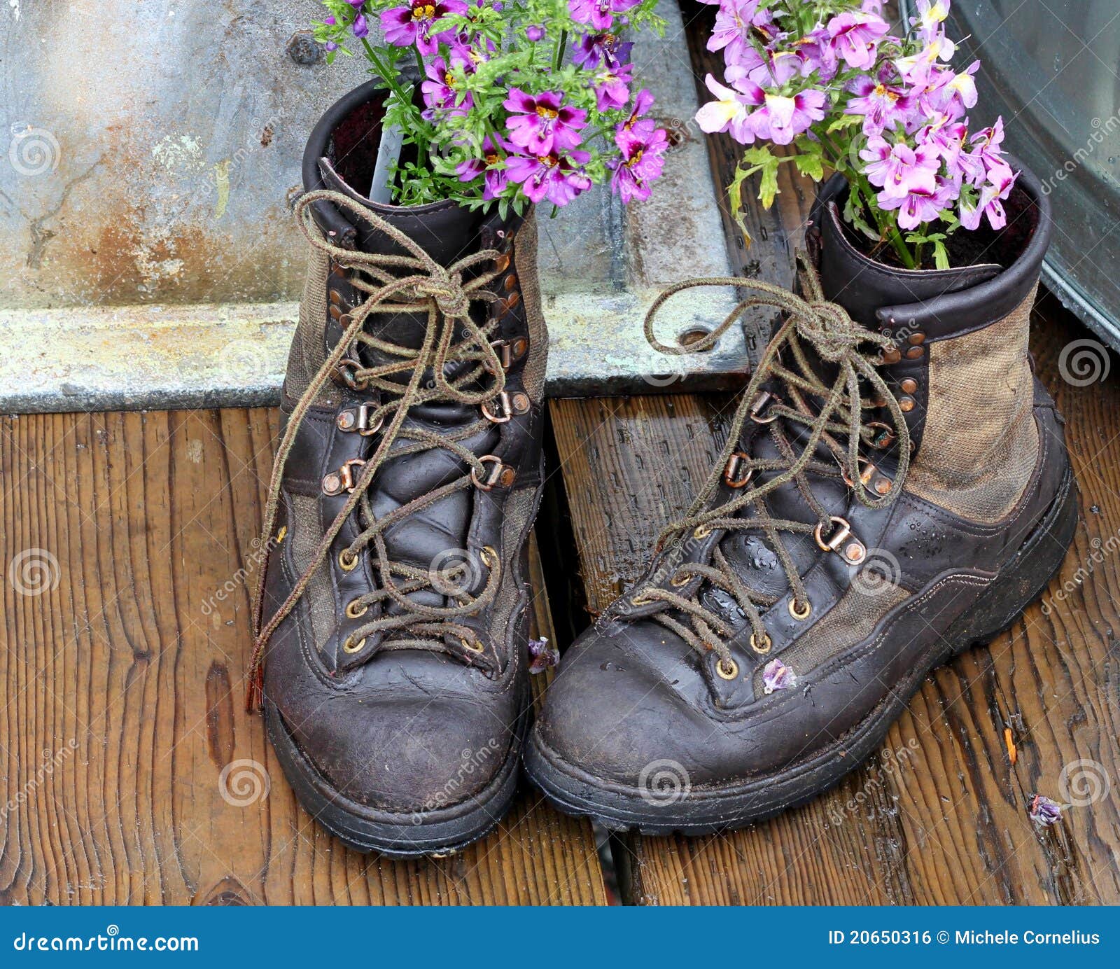 Repurposing old boots. Old worn boots with flowers planted in them on a wooden deck