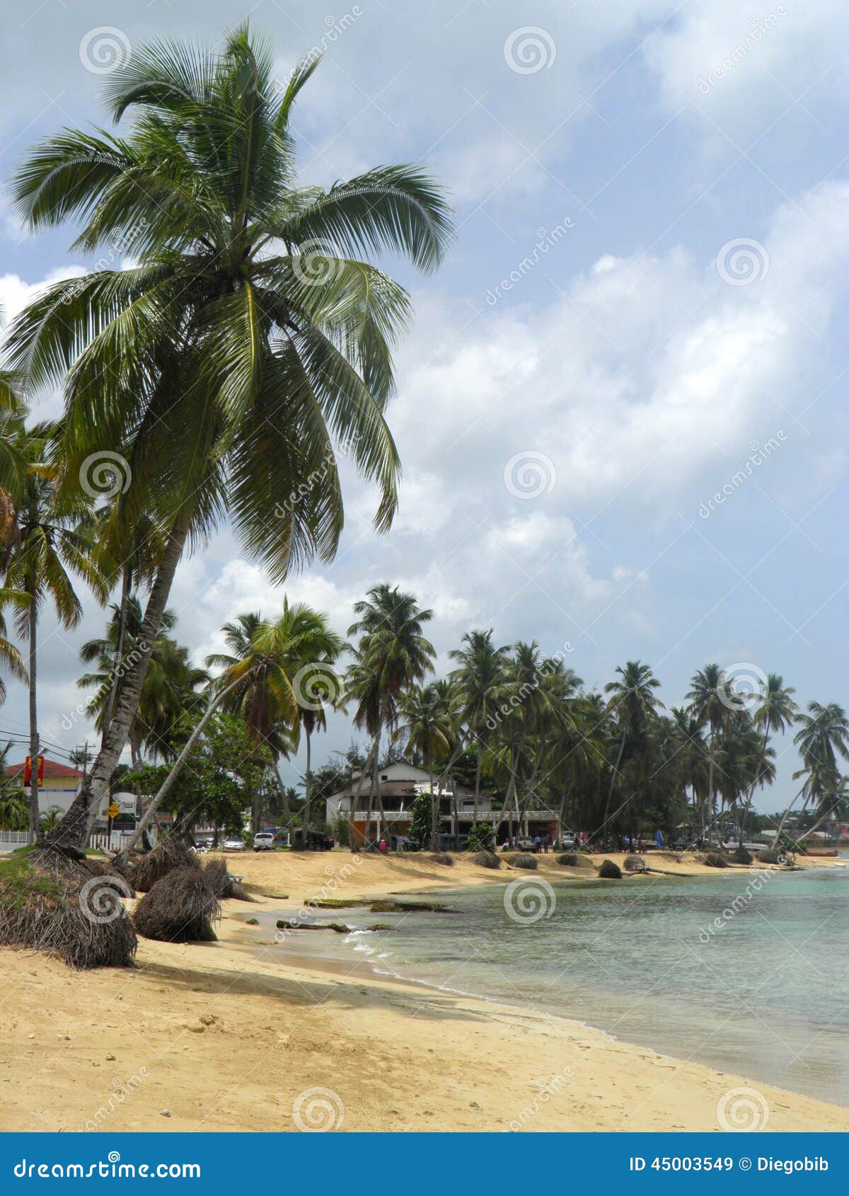 República Dominicana De La Playa Del Caribe De Los Terrenas De Las Imagen De Archivo Imagen De 