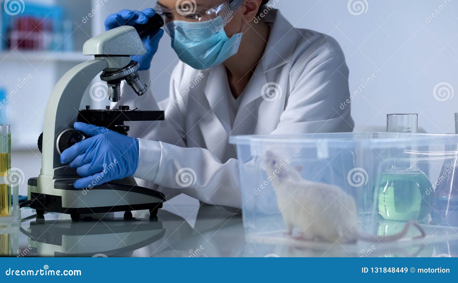Researcher Developing New Medication, White Test Rat in Plastic Box on
