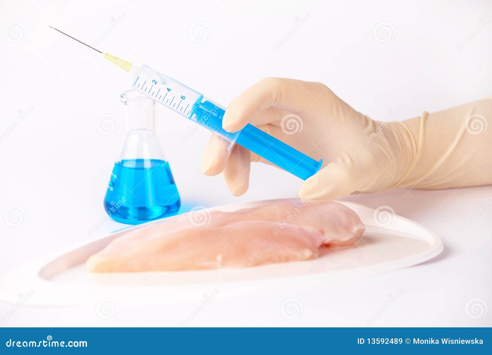 Researcher Injecting GMO Chicken Meat Stock Image Image of research