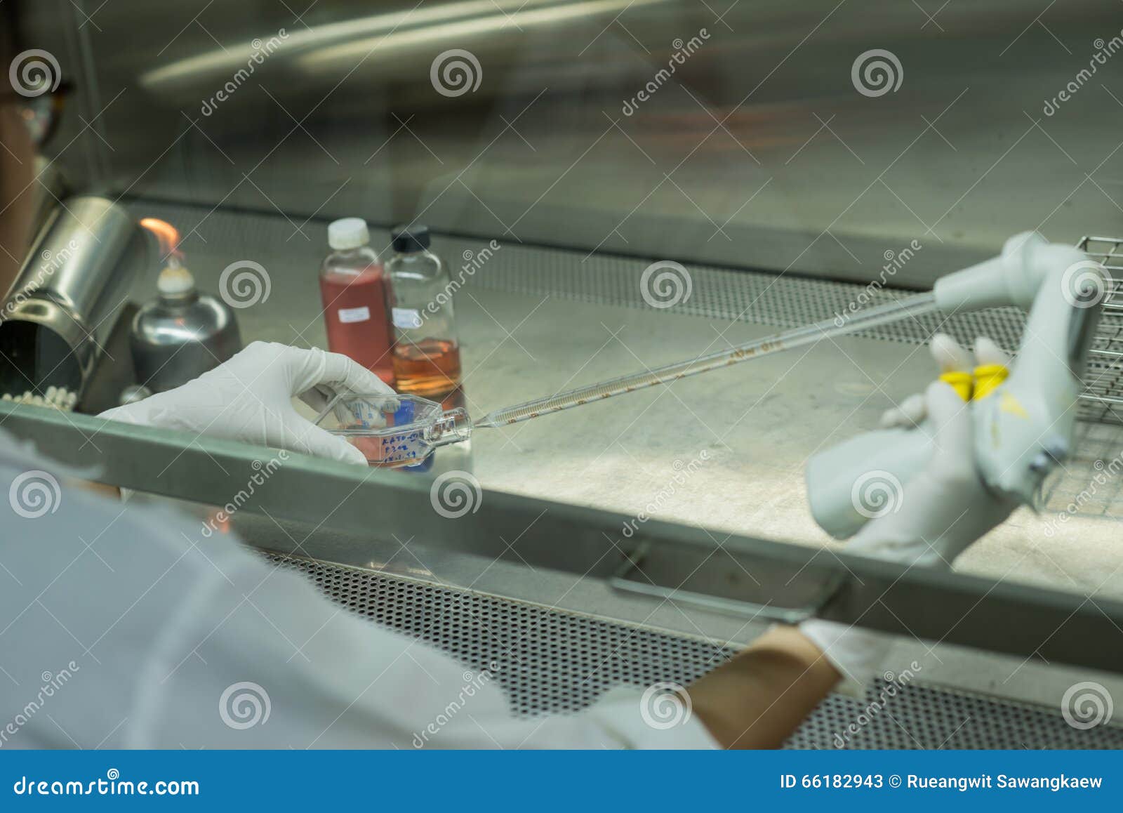 researcher transfers testing fluid in biosafety cabinet