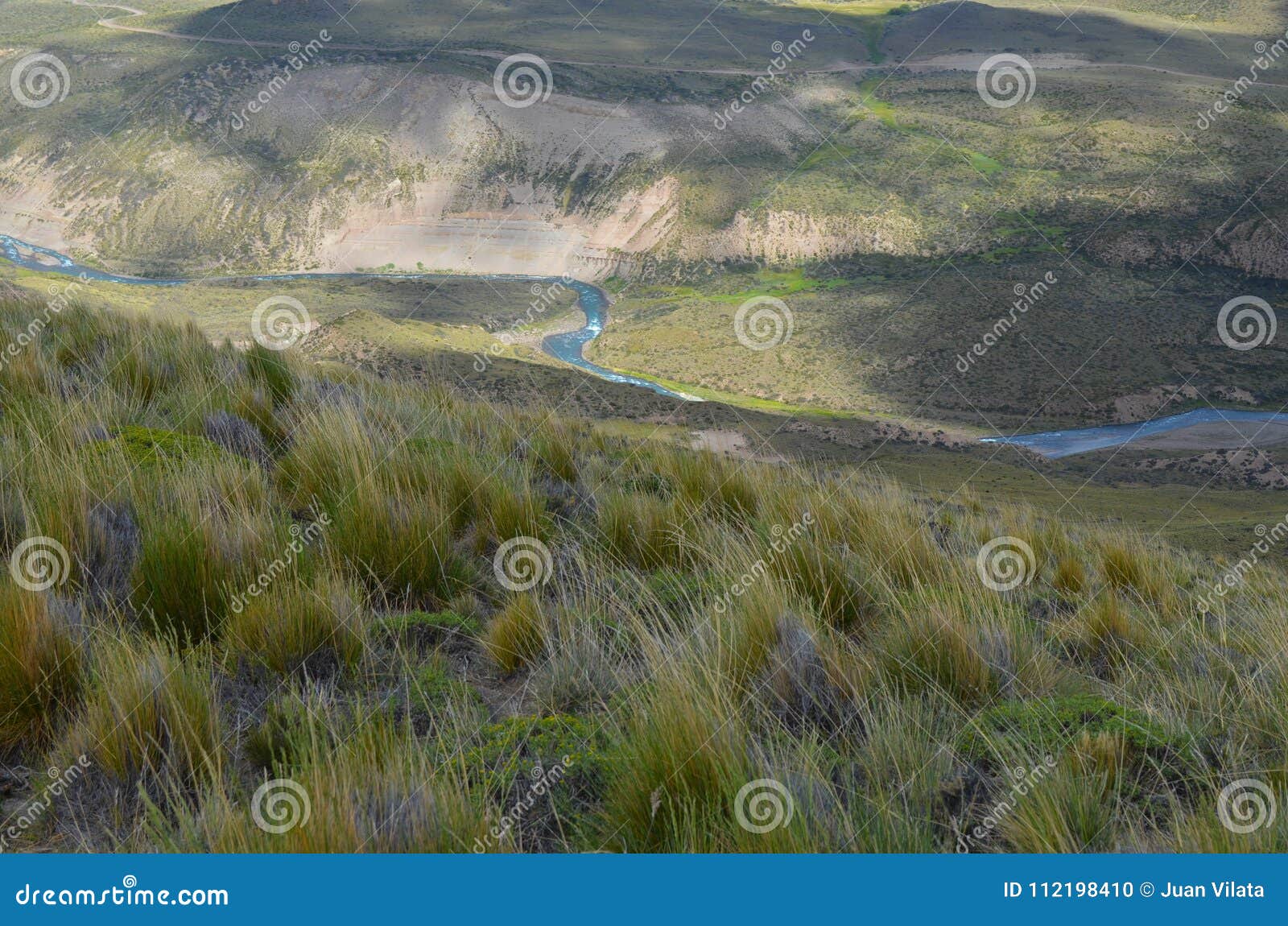 reserva nacional lago jeinimeni, near lago general carrera in southern chile