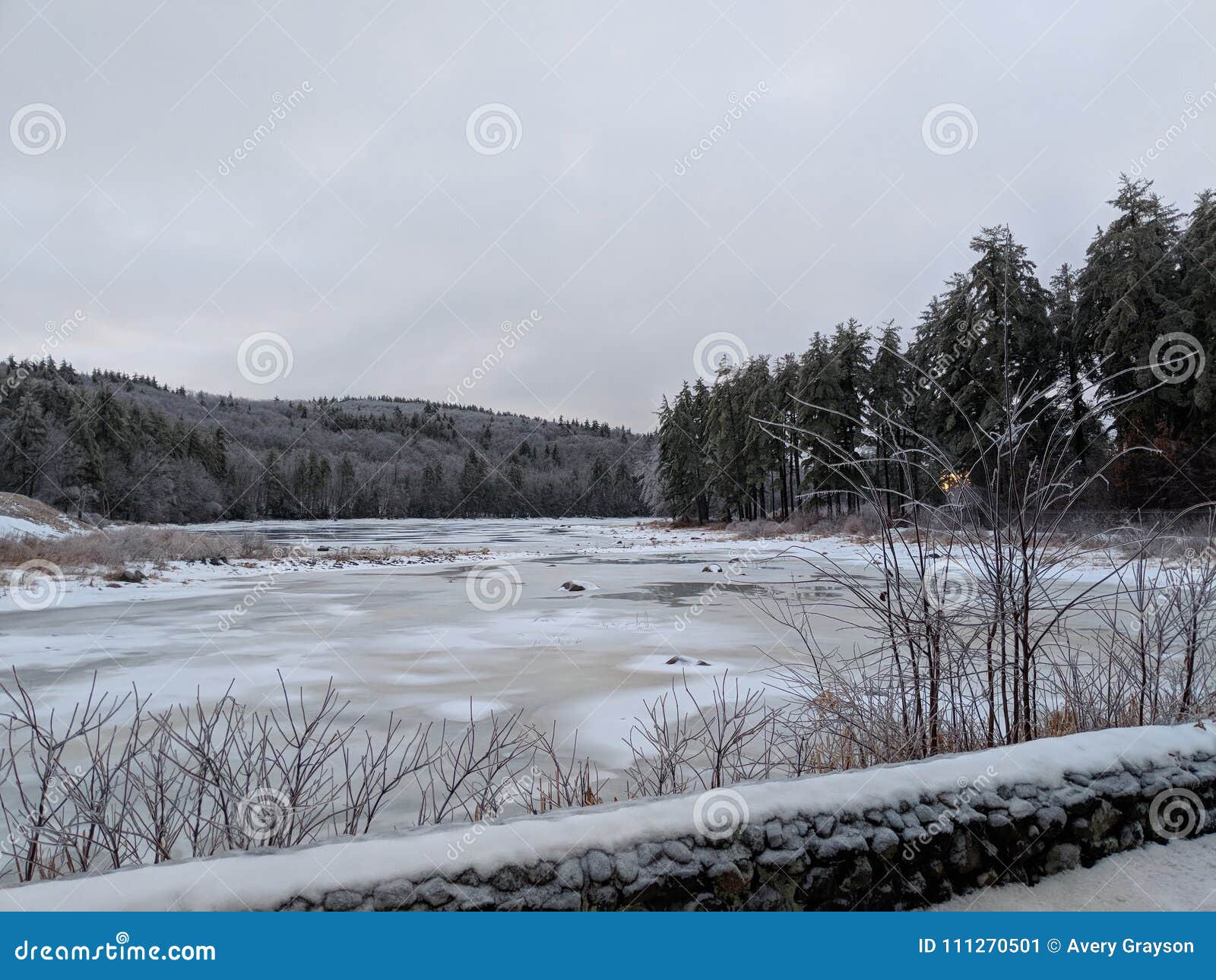 Reserve stock image. Image of coated, reservoir, concord 111270501
