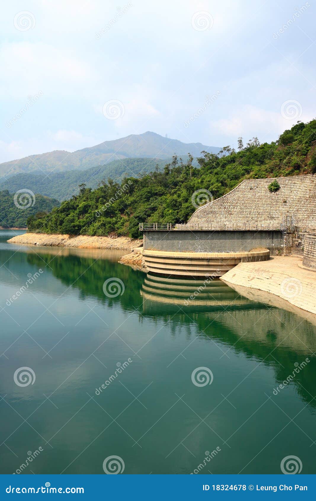 Reservoirs stock photo. Image of nature, grass, plant 18324678