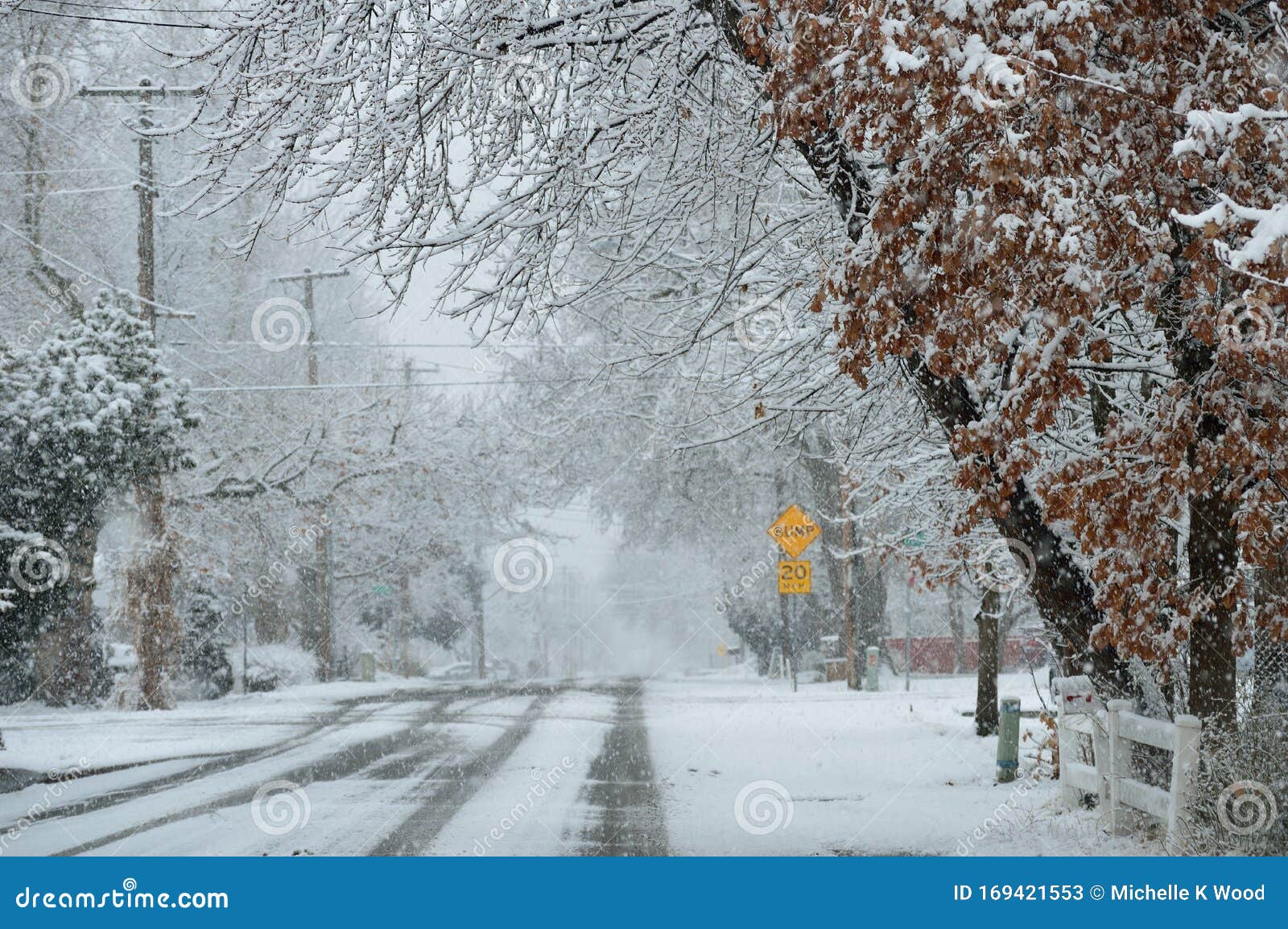 Residential Neighborhood City Street in Severe Snowstorm Close Up Stock ...
