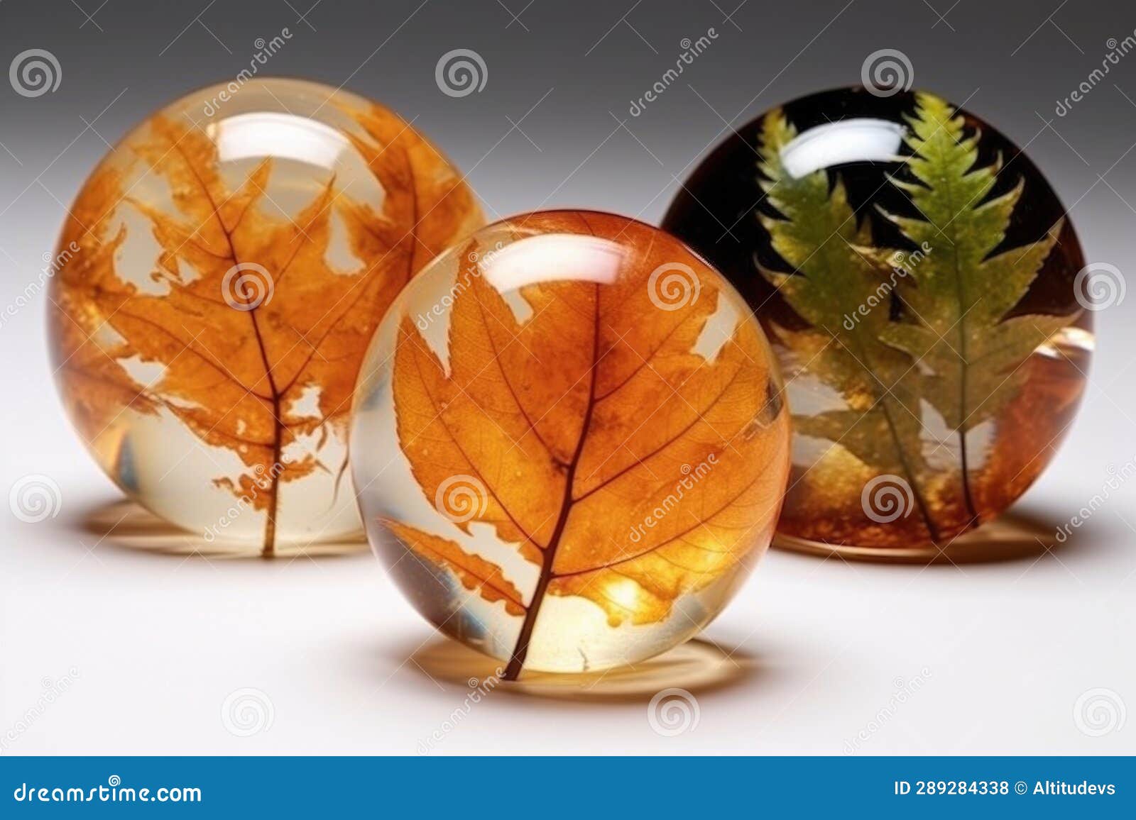 resin paperweights with a variety of preserved leaves
