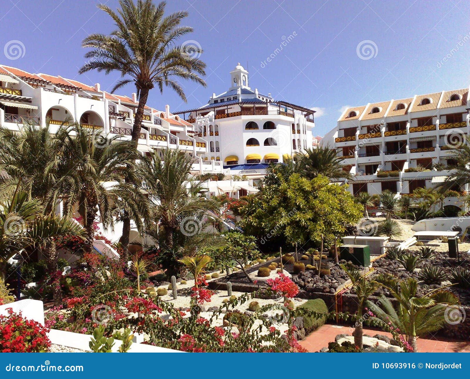 Resort Tenerife stock photo. Image of resort, palm, travel - 10693916