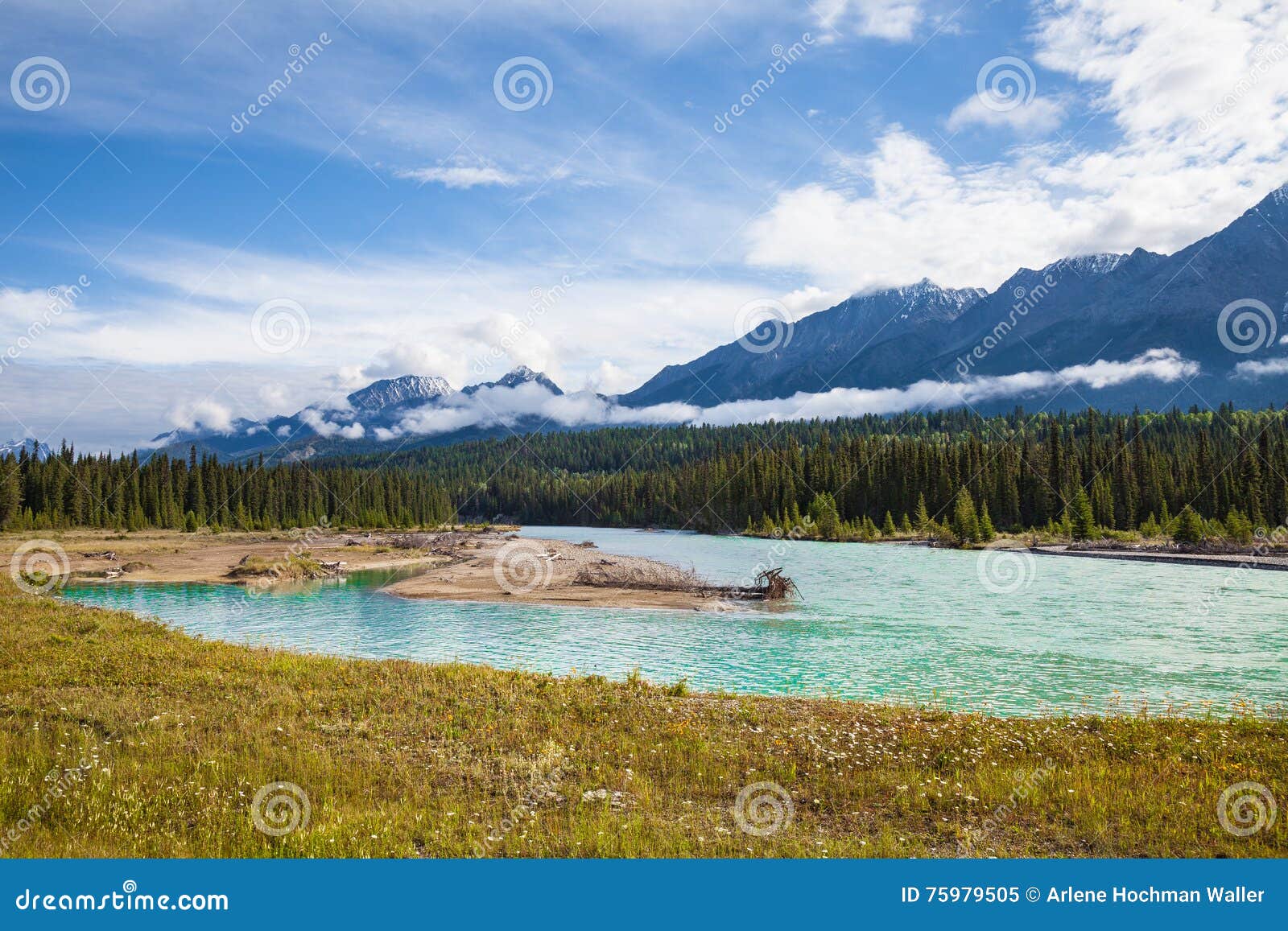 Ressortissant la Forêt-Californie de secteur-Inyo de Gray Mountain Ce secteur fournit un autre itinéraire au Mont Whitney