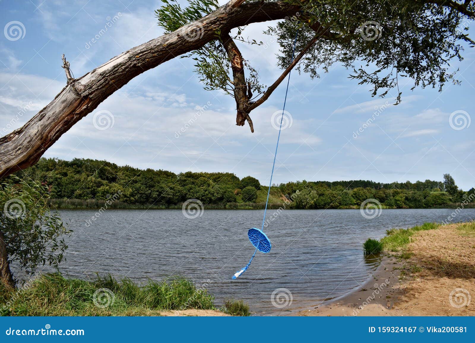 Rope Swing on a Tree Above the Water. Homemade Playground on the Beach  Stock Image - Image of brown, creeper: 159324167