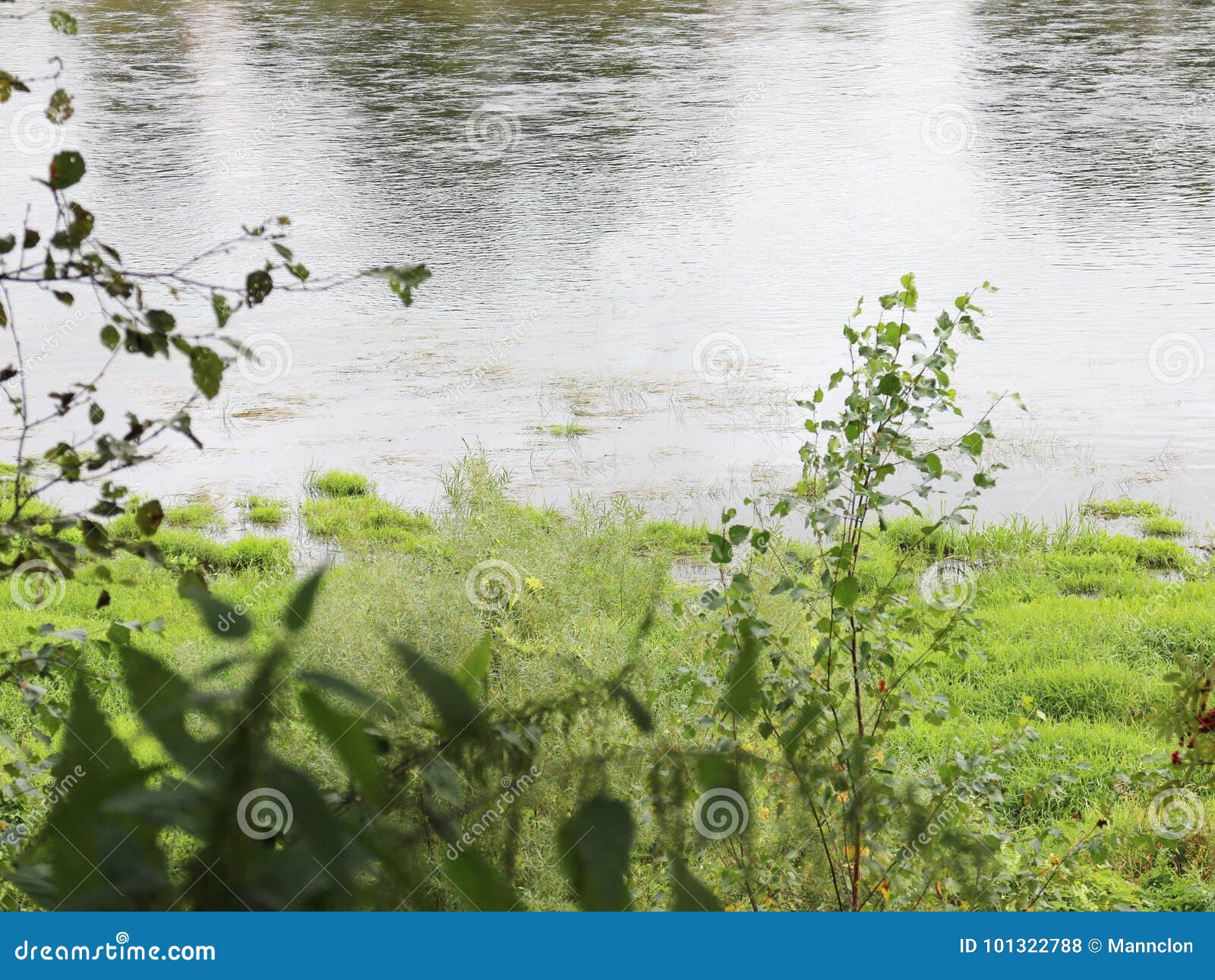 Rest on the river bank stock photo. Image of summer - 101322788