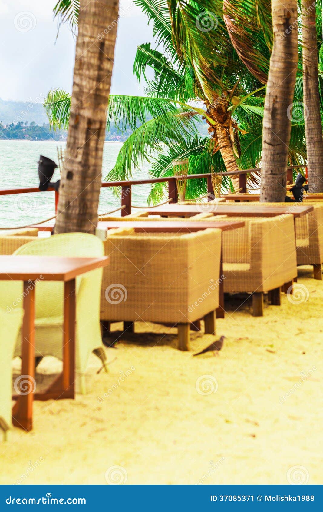 Restaurant on the Coast with Palm Trees Stock Image Image of island