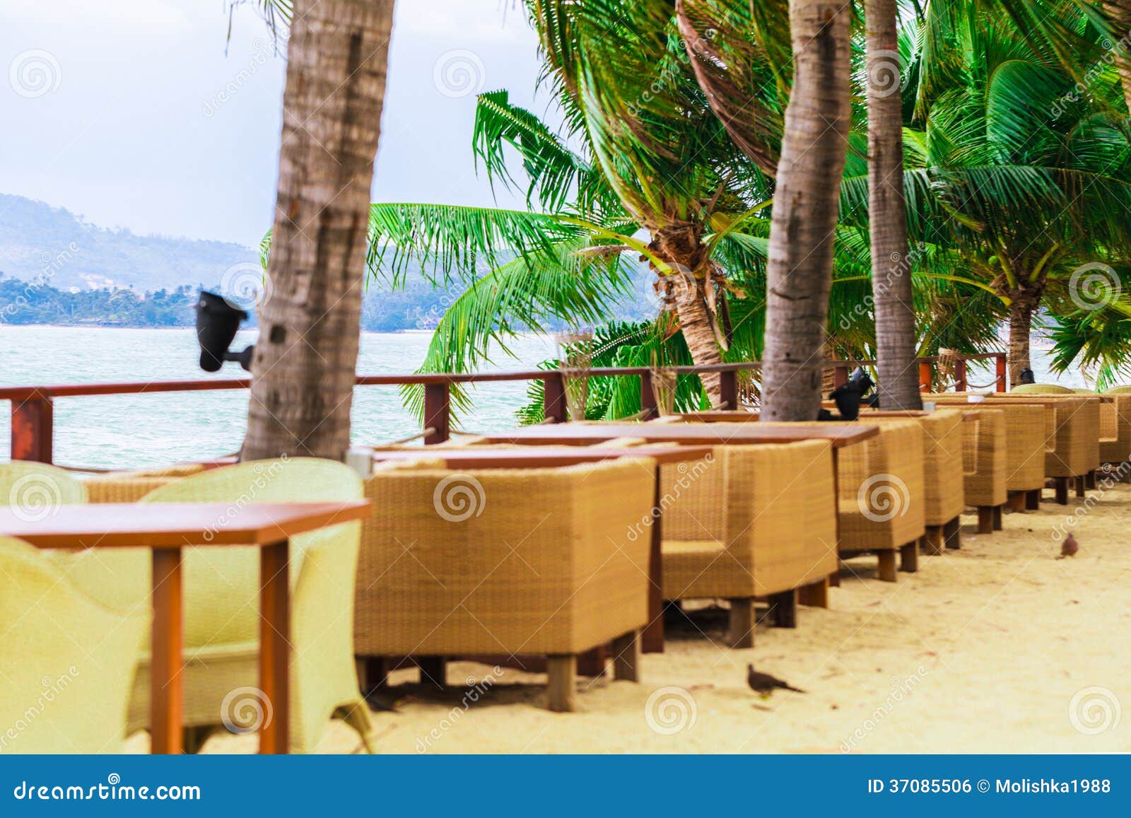 Restaurant on the Coast with Palm Trees Stock Photo Image of cafe