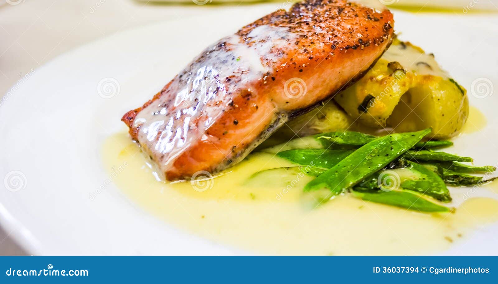 Restaurant Style Salmon Dinner Stock Photo Image of plated, dinner