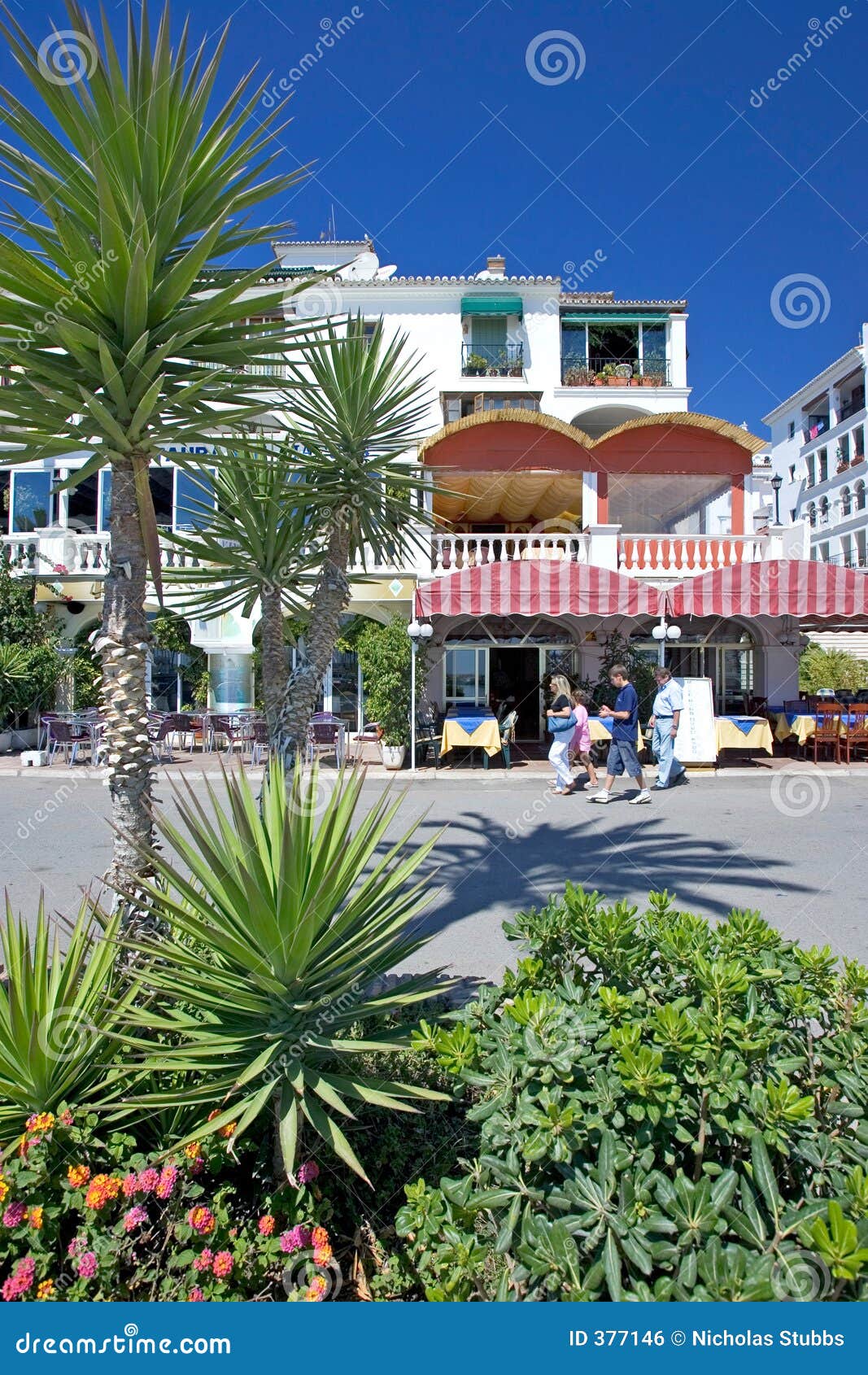 restaurants and bars in duquesa port in southern spain