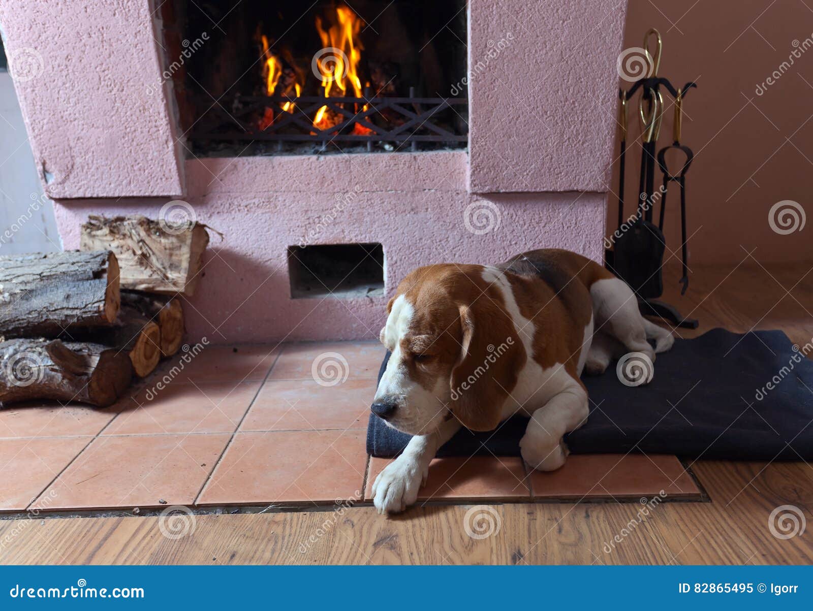 Resting Dog Near To a Fireplace Stock Image Image of animal, floor