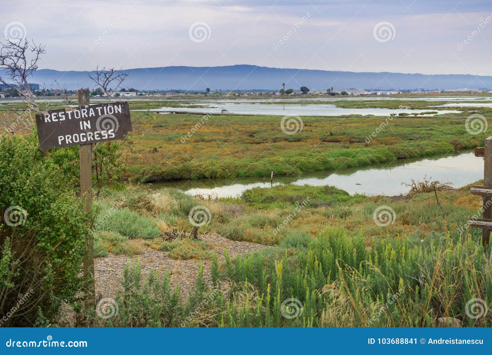 restoration sign in the wetlands in alviso marsh
