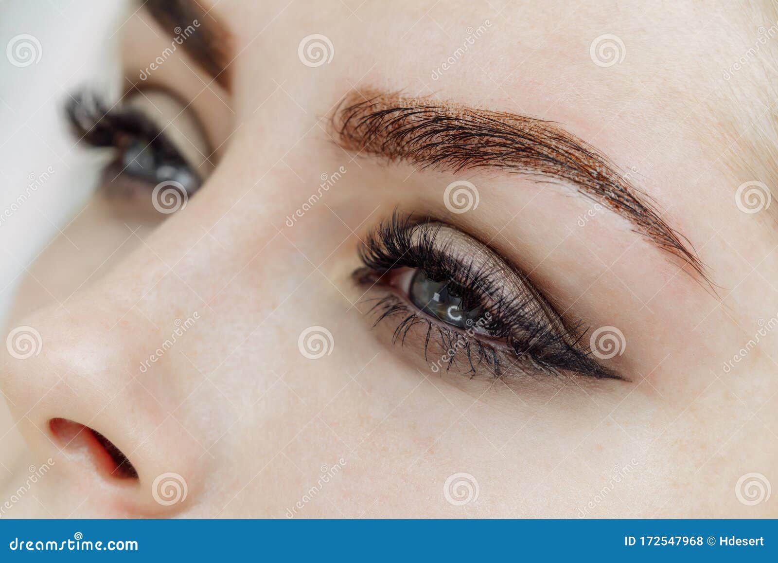 Resultado De Maquillaje Permanente, Tatuaje De Cejas Foto de archivo - Imagen de modelo, resultado: 172547968 Resultado De Maquillaje Permanente, Tatuaje De Cejas Foto de archivo - Imagen de modelo, resultado: 172547968