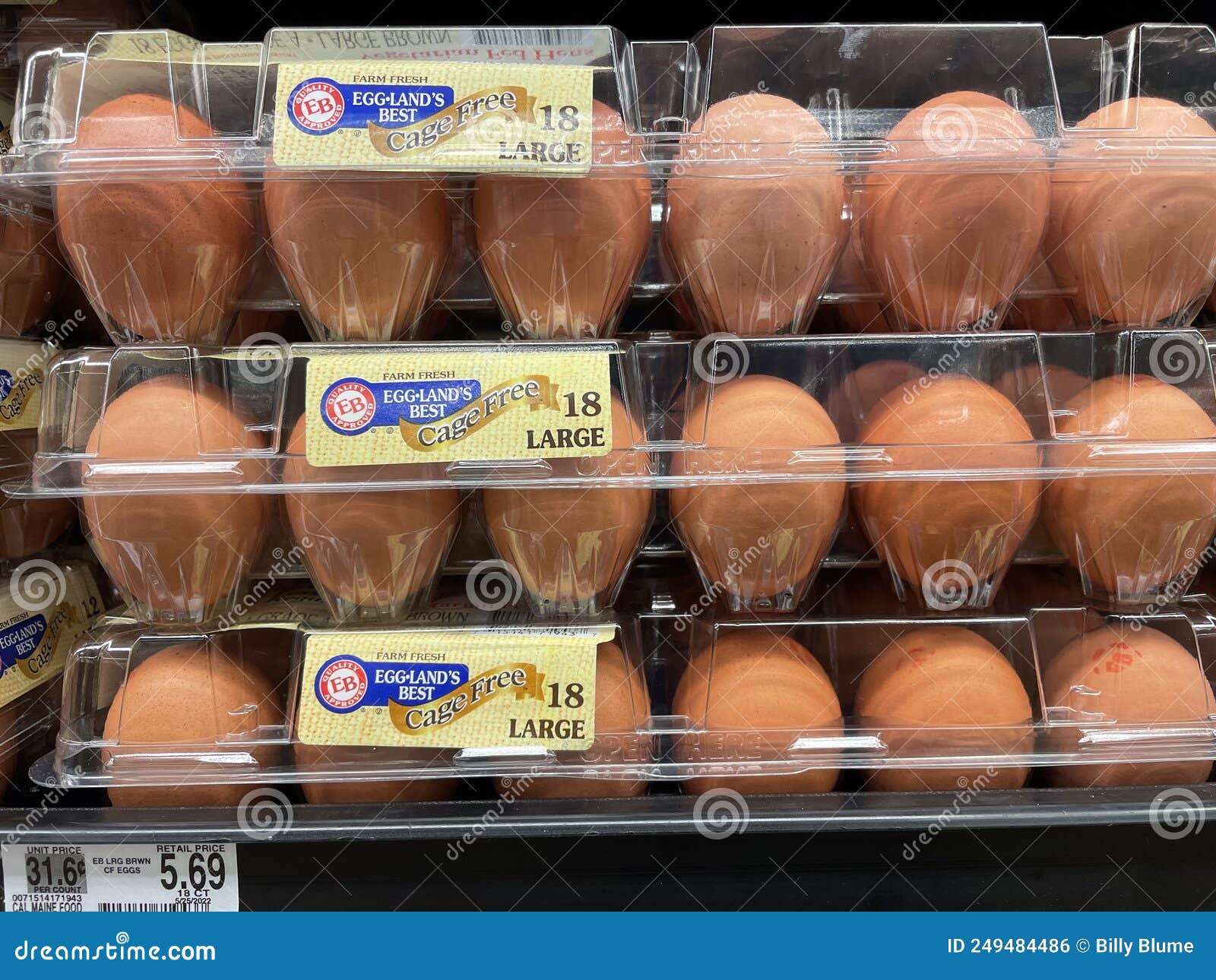 retail-store-eggs-egglands-best-cage-free-and-price-editorial-photo