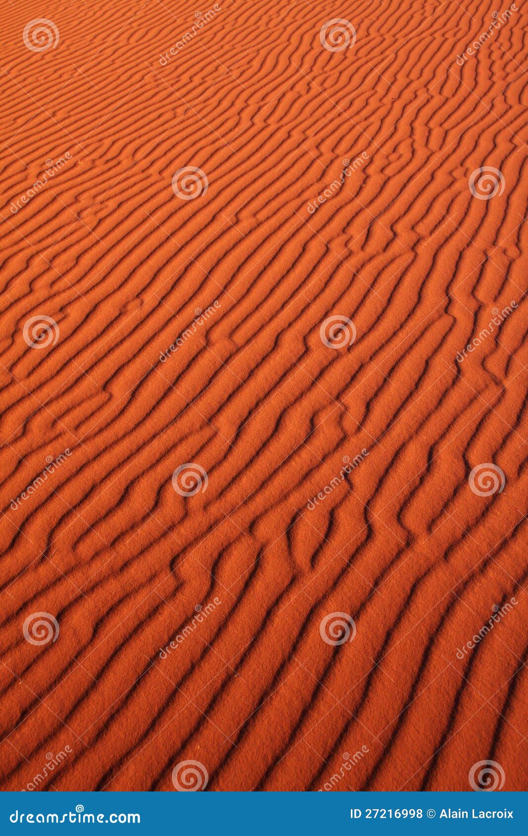 Reticolo della sabbia. Reticolo delle ondulazioni nella sabbia intorno all'ora di tramonto (ombre lunghe)