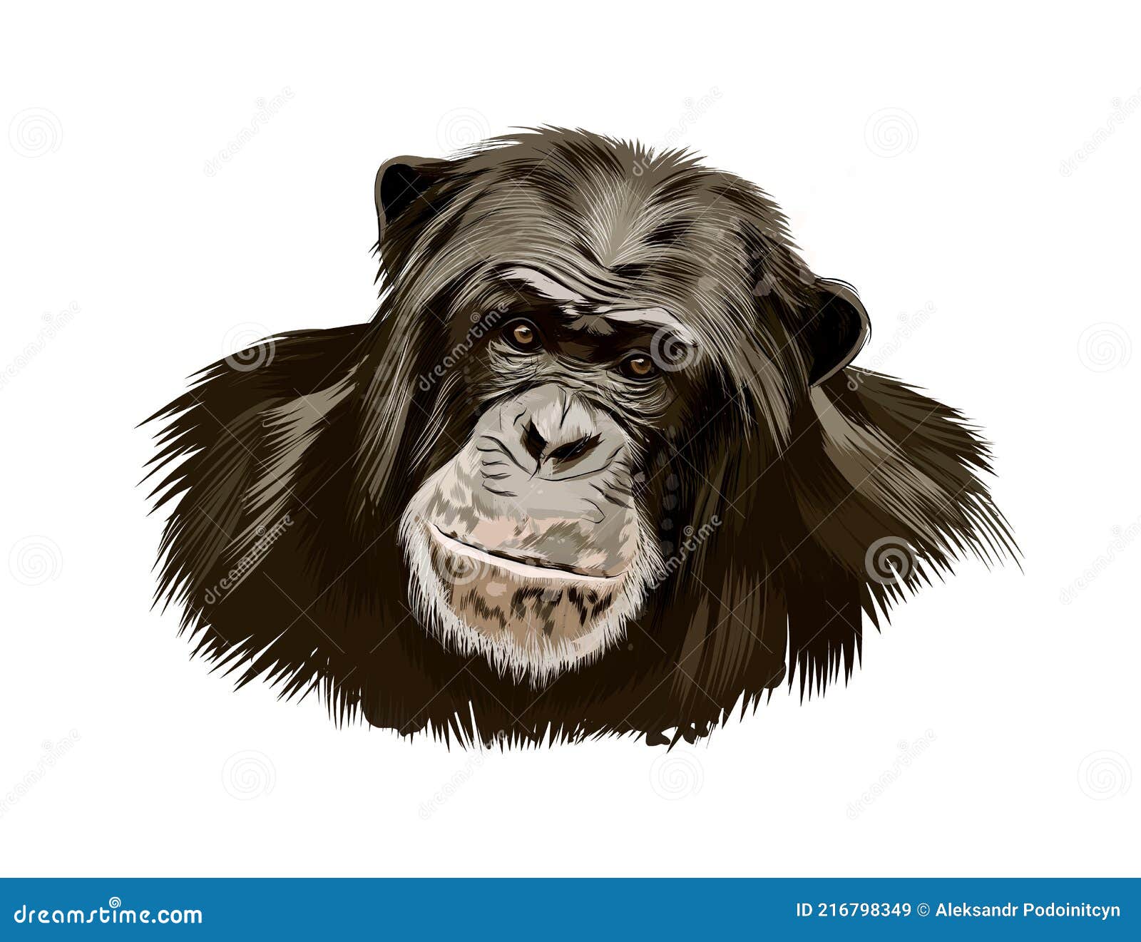 Retrato Da Cabeça De Chimpanzé Macaco De Uma Abertura De Desenho a Cores  Aquáticas Realista Ilustração do Vetor - Ilustração de sorriso, parque:  216798349