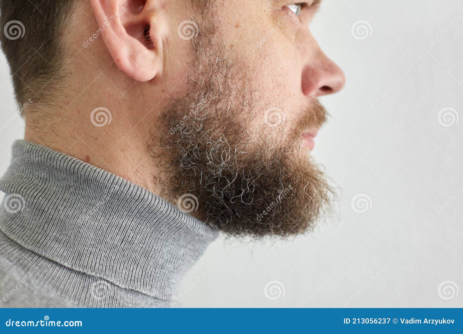 Retrato De Barba Corta Masculina De Un Hombre De Mediana Edad Vista Lateral  Imagen de archivo - Imagen de fondo, adolescente: 213056237