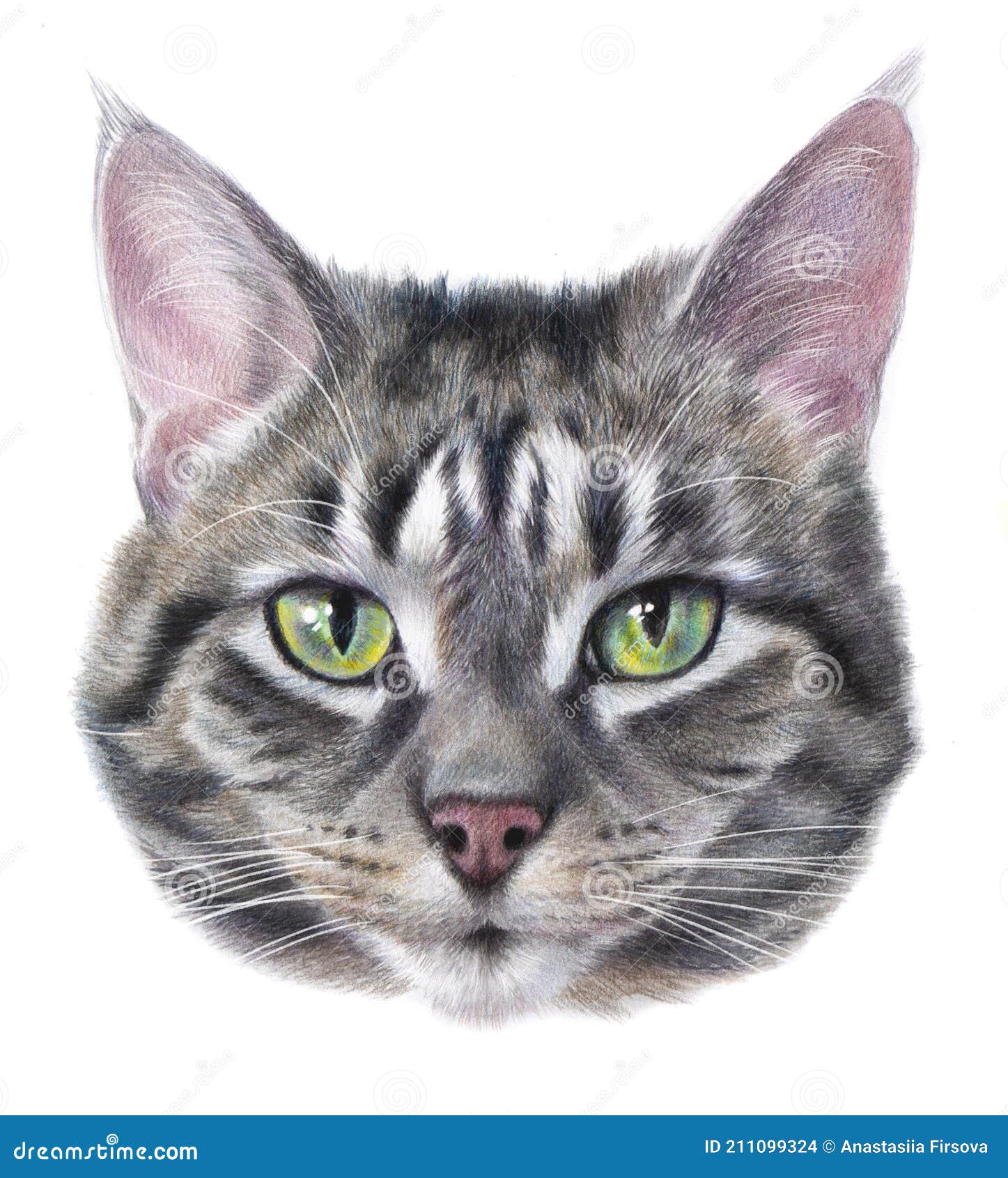 Retrato De Cor Realista Detalhado De Um Gato Cinzento Listrado Com Olhos  Verdes. Ilustração Stock - Ilustração de tatuagem, miado: 211099324