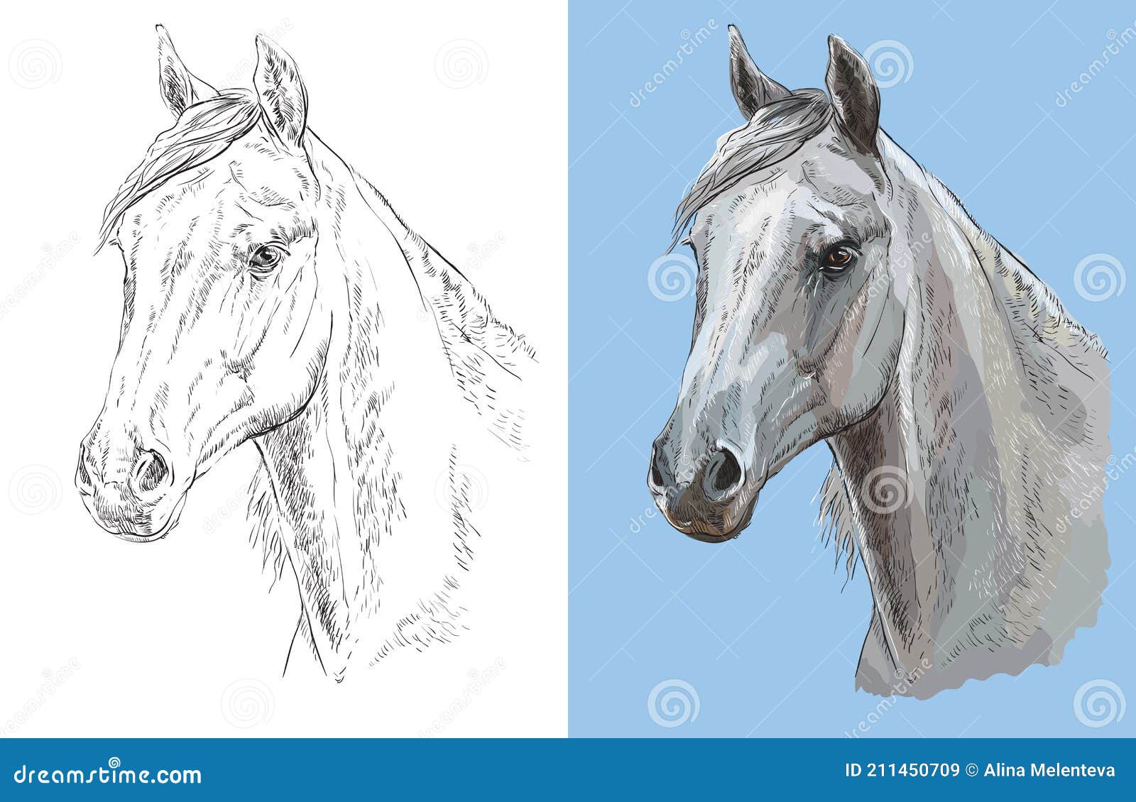 Ilustração Vetorial De Um Retrato Realista De Cabeça De Cavalo