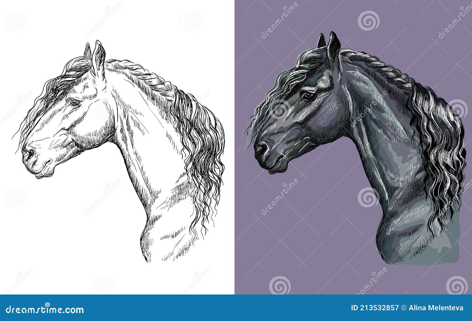 Ilustração Vetorial De Um Retrato Realista De Cabeça De Cavalo