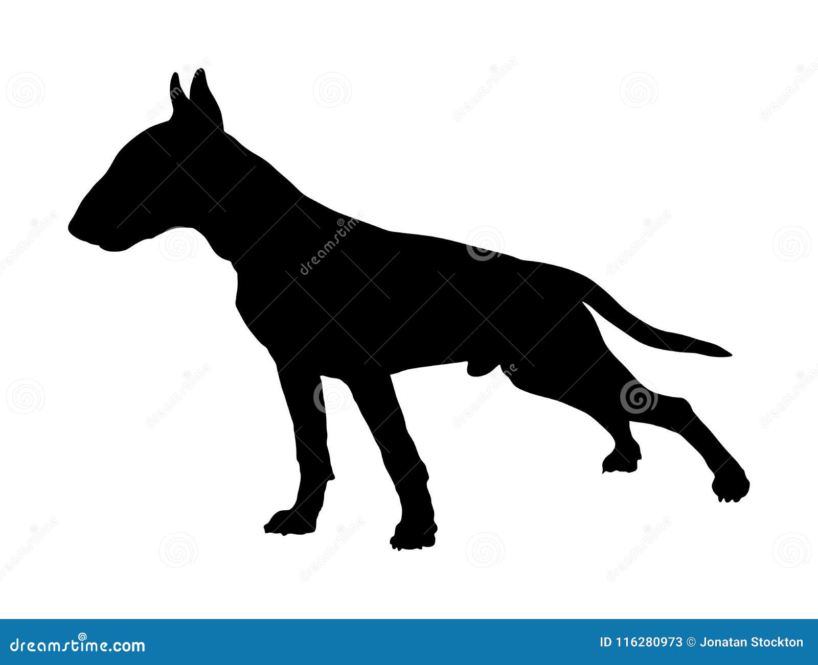 Retrato De La Silueta Del Vector De Bull Terrier Stock De Ilustración