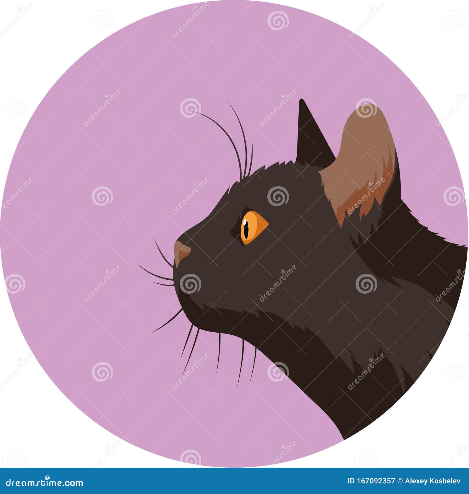 Retrato De Perfil De Um Gato Preto Ilustração Stock - Ilustração de animal,  olho: 167092357