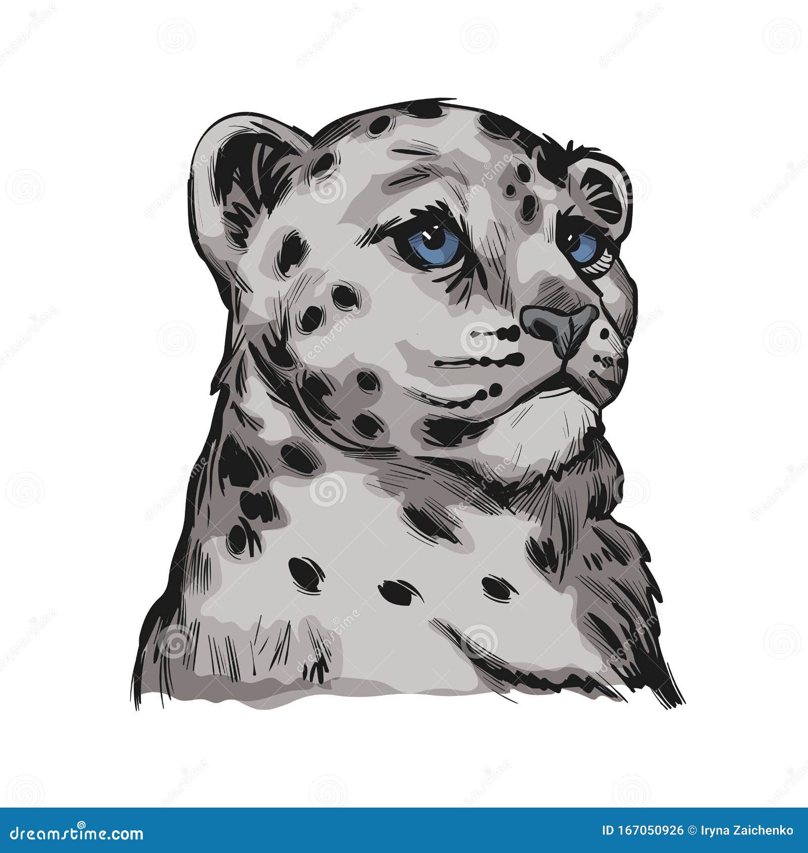 Retrato De Taburete De Bebe Leopardo De La Nieve En Un Bosquejo Aislado Limpieza De Levadura De Leopardo Visto Vectorial De Panth Stock De Ilustracion Ilustracion De Bestia Densamente