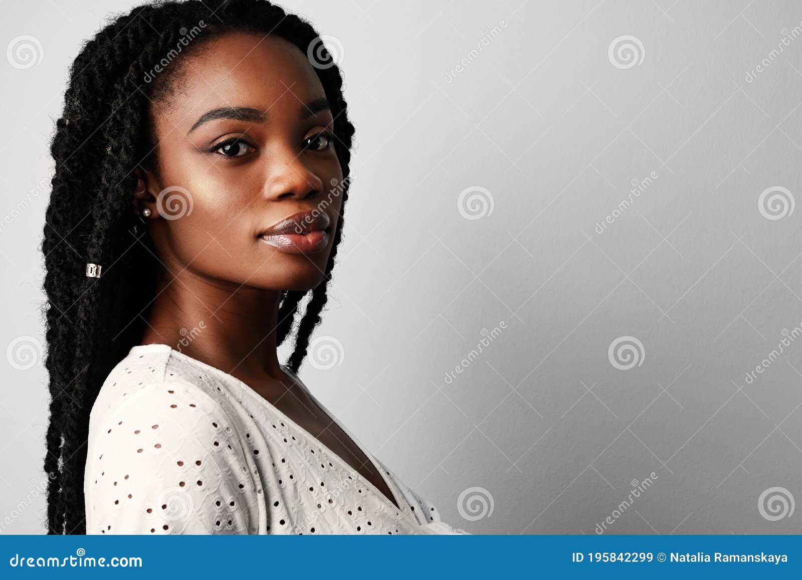 Retratos Cabeça De Um Bonito Cabelo Grisalho Americano Cinza Com