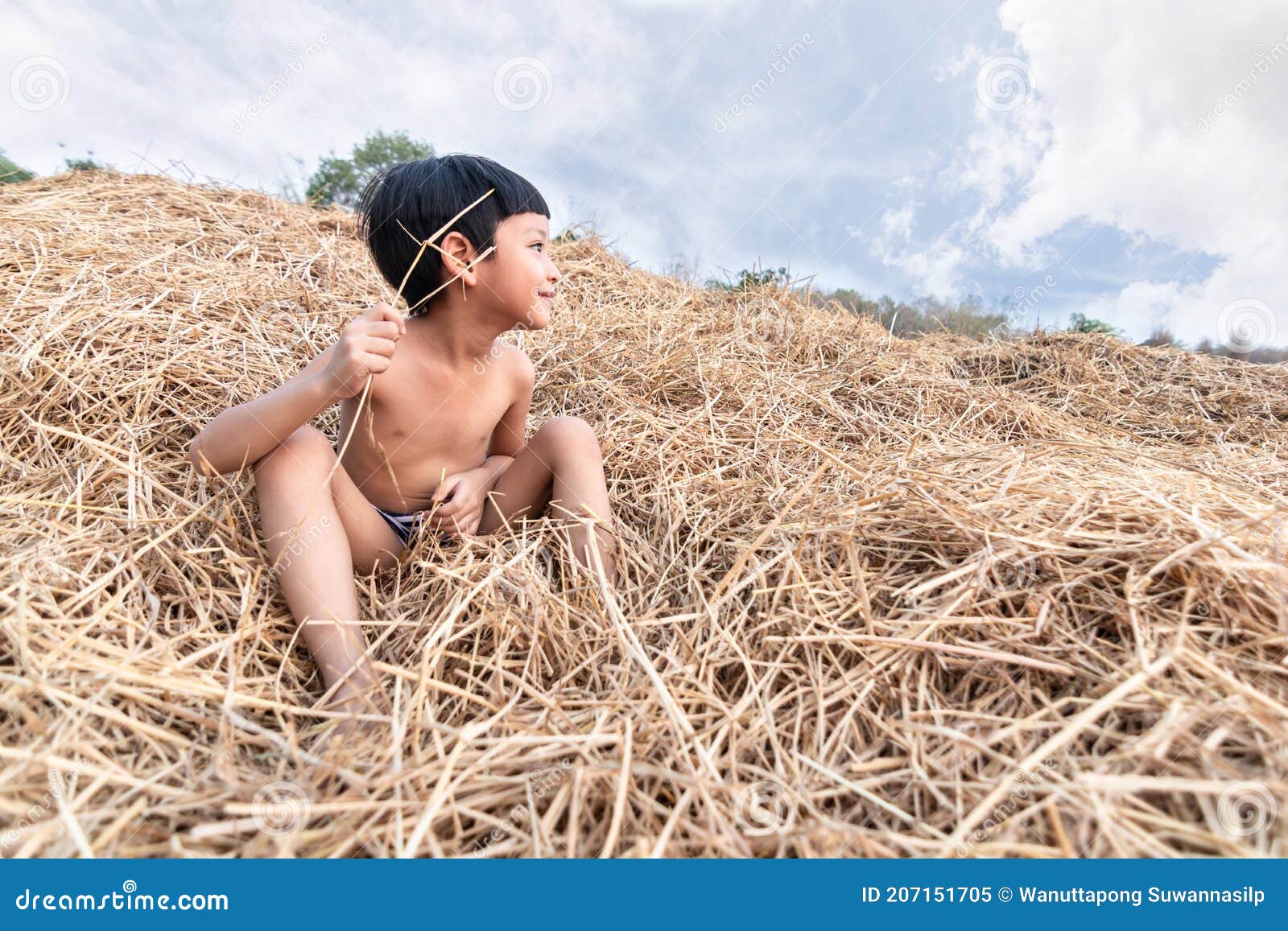 Una vez más Mejor Pequeño Retrato De Un Lindo Niño Asiático Sonriendo Y Sentado En El Heno. Un Niño  Pequeño Y Alegre Jugando Con La Paja De Arroz Imagen de archivo - Imagen de  arroz, felicidad: 207151705