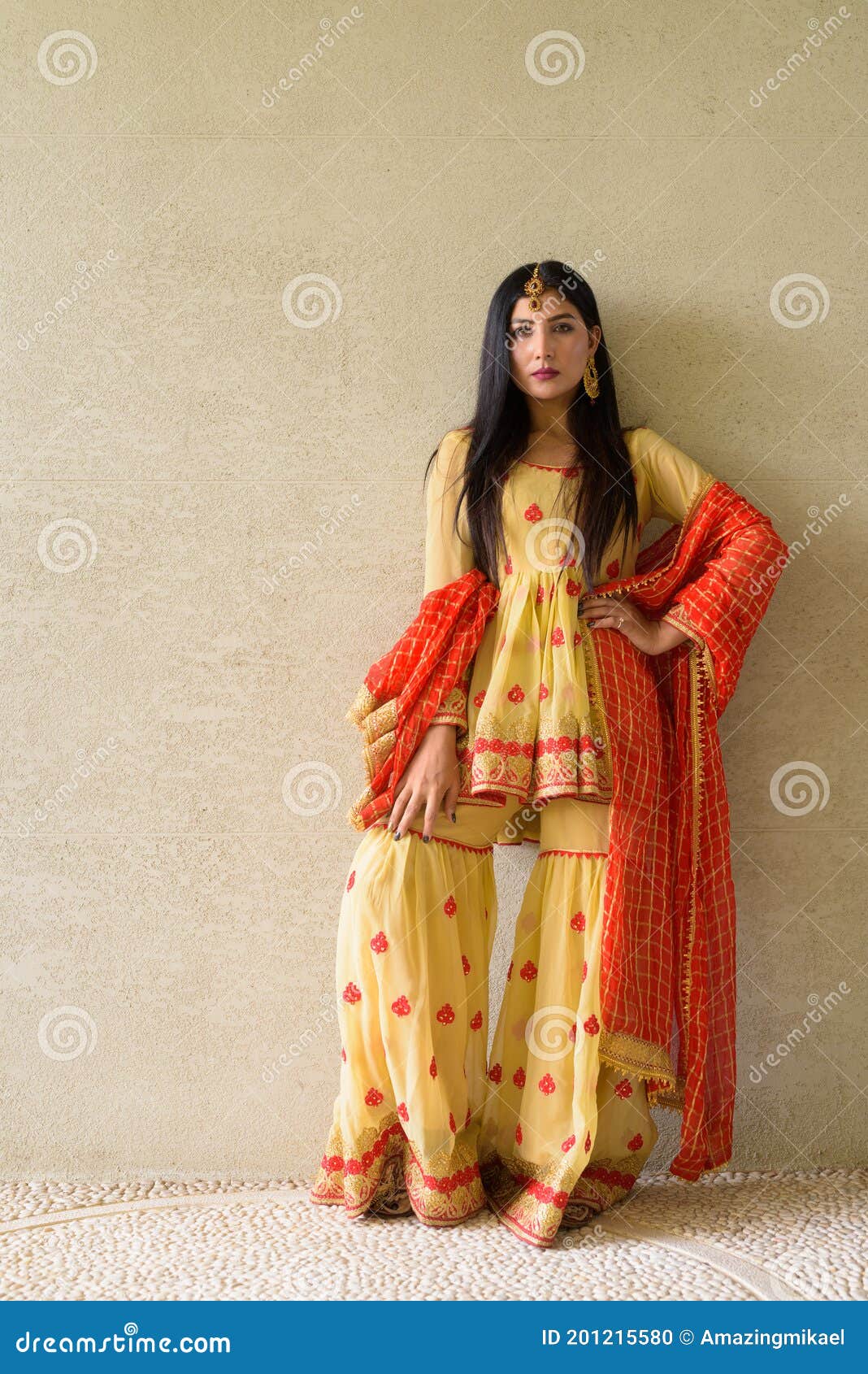Retrato De Una Hermosa Joven Que Un Vestido Tradicional Indio Foto de archivo - Imagen hermoso, indio: 201215580