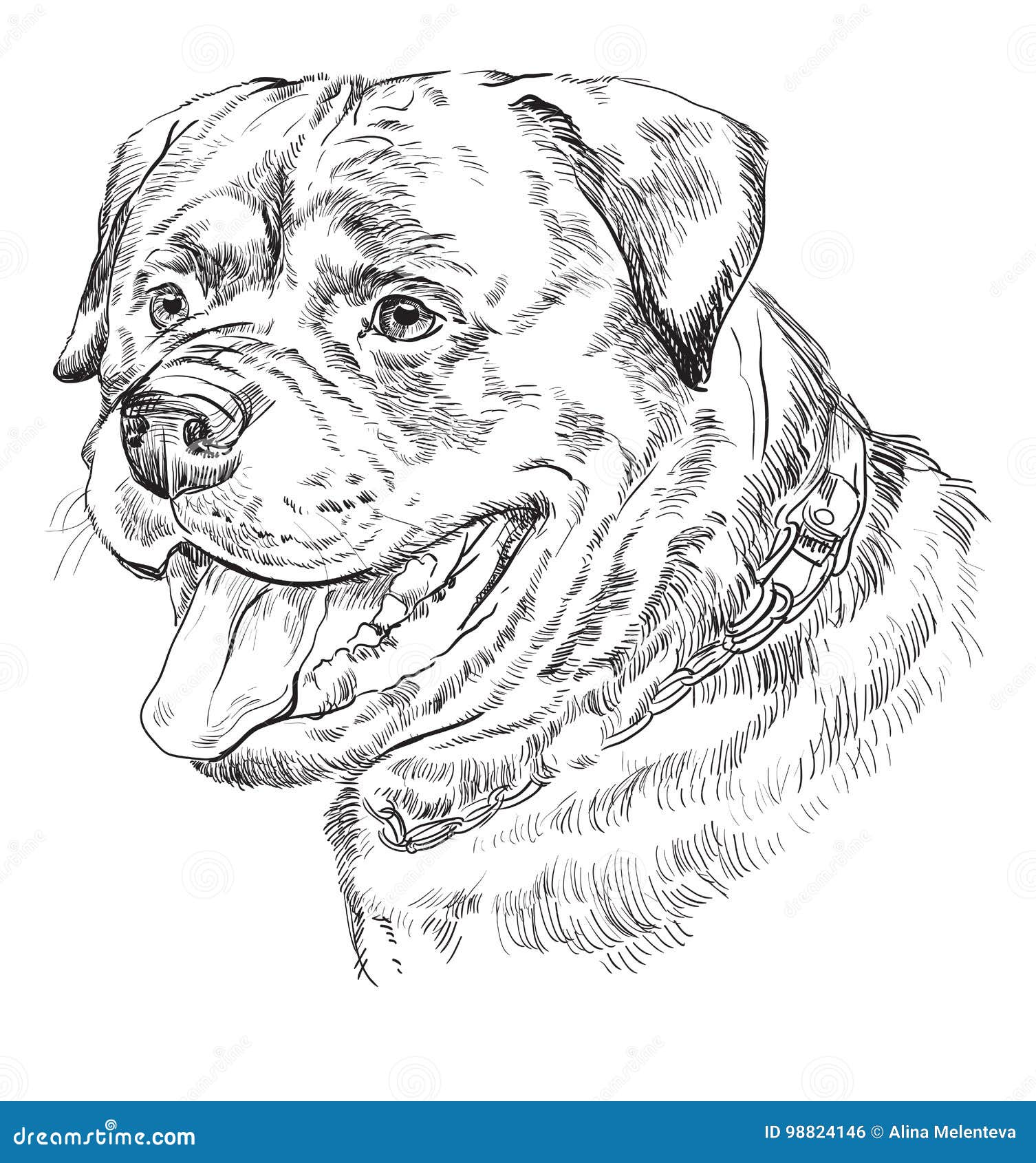 Retrato Del Dibujo De La Mano Del Vector De Rottweiler Ilustración del  Vector - Ilustración de cachorro, perro: 98824146