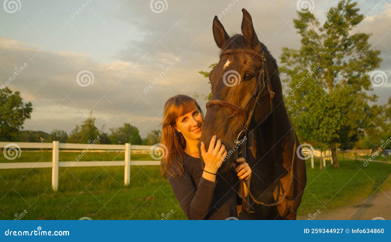 Retrato De Cavalo Da Frente Indo E Olhando Direto Para a Câmera