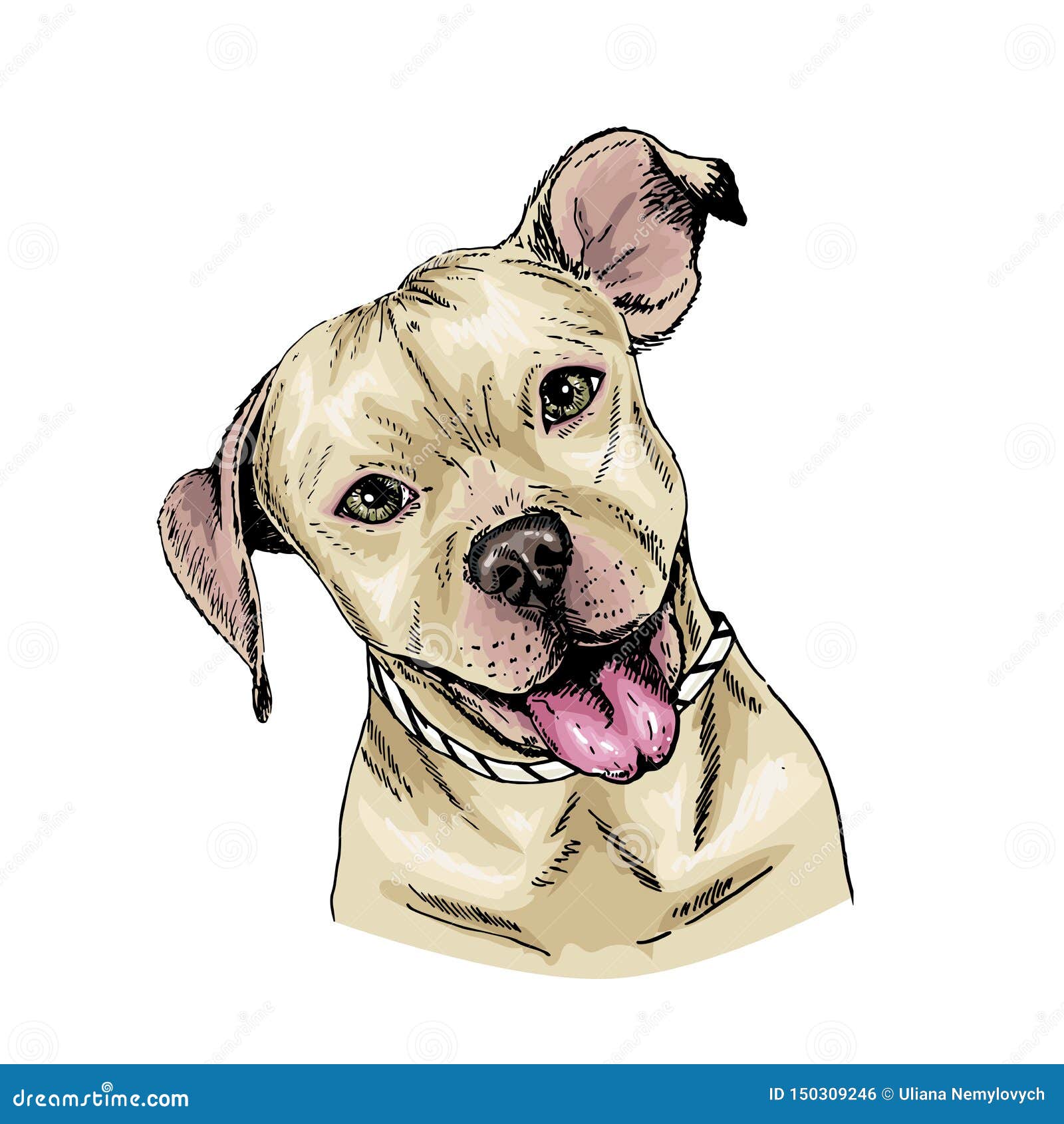 Retrato Vectorial Del Perro Del Toro Perrito De Corte Ilustración  Animalista Portada De Mascotas Dibujada a Mano Cartel, Camiseta Ilustración  del Vector - Ilustración de divertido, trazado: 150309246