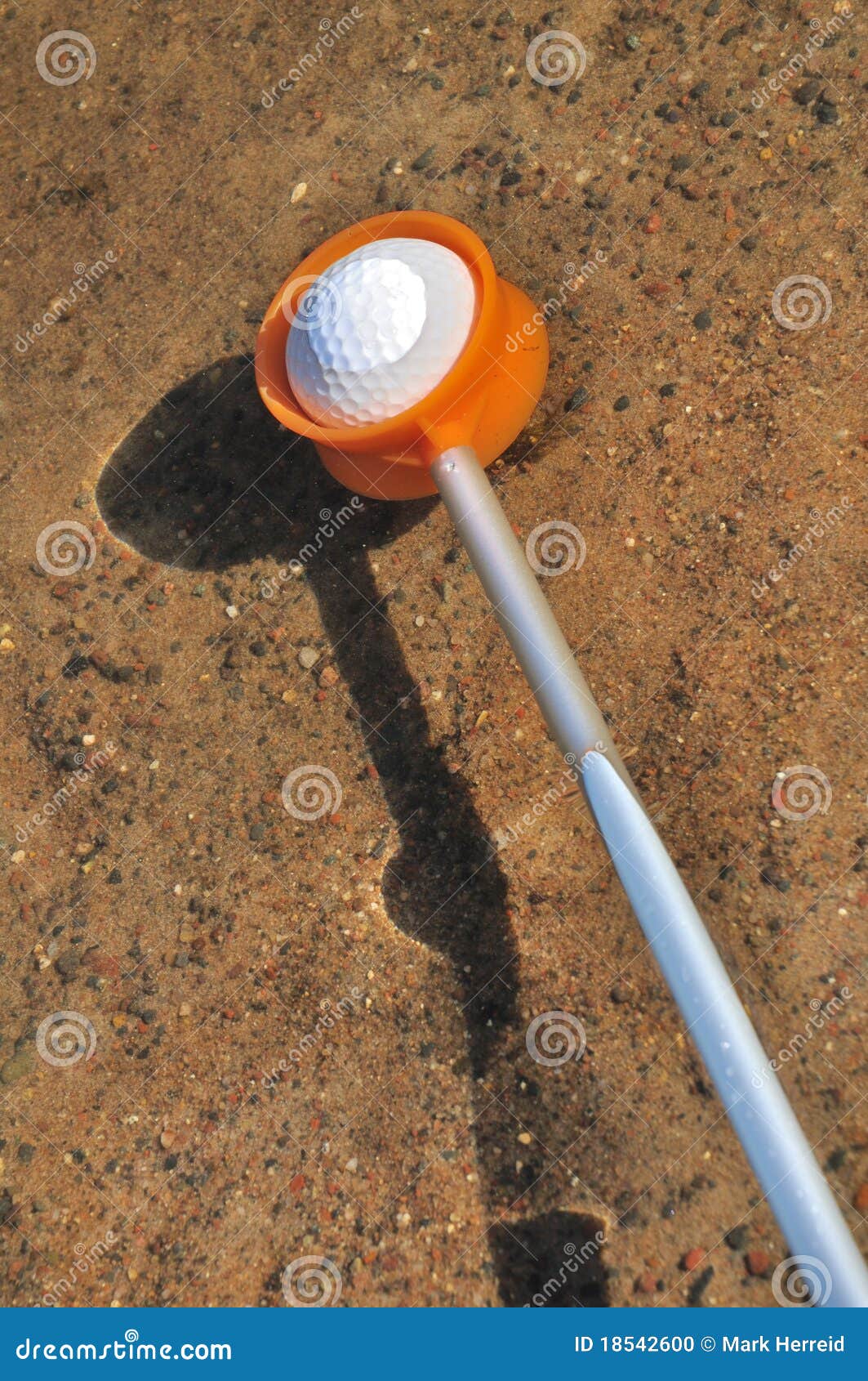 Retrieving a Golf Ball from a Water Hazard Stock Photo Image of