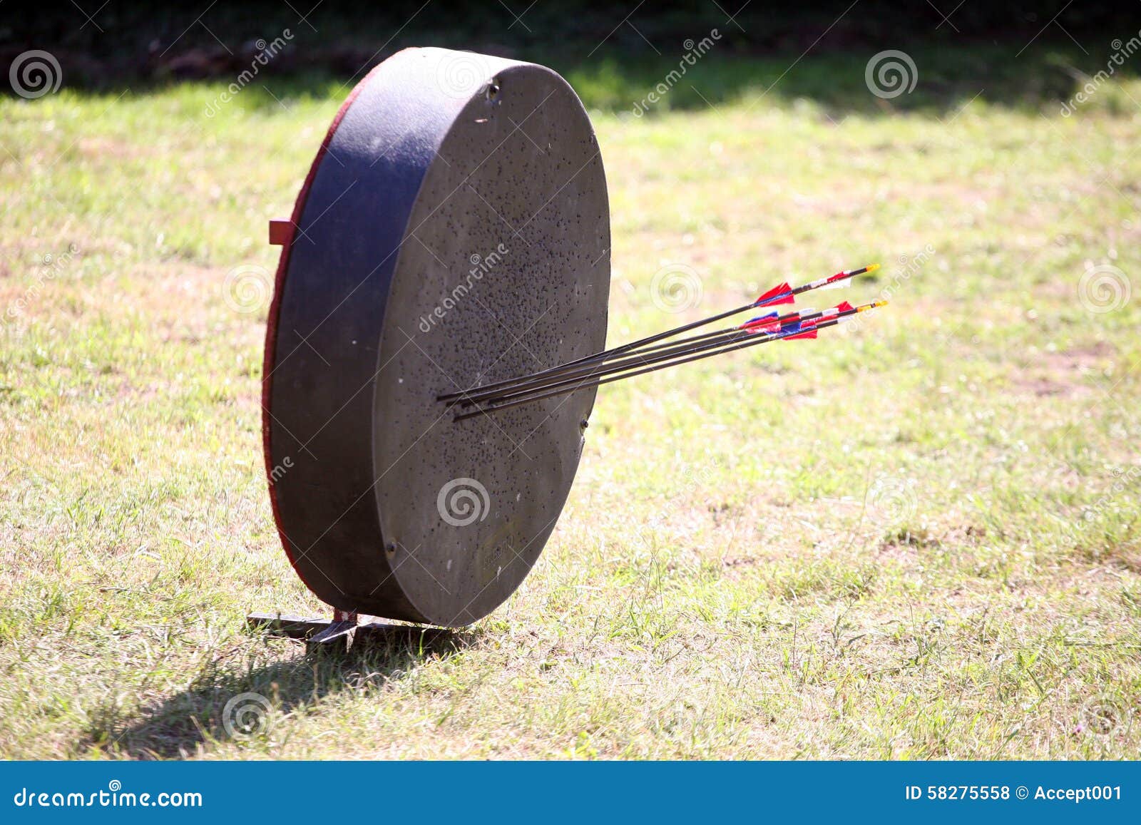 Retro Archery Target with Arrows Stock Photo Image of military, game