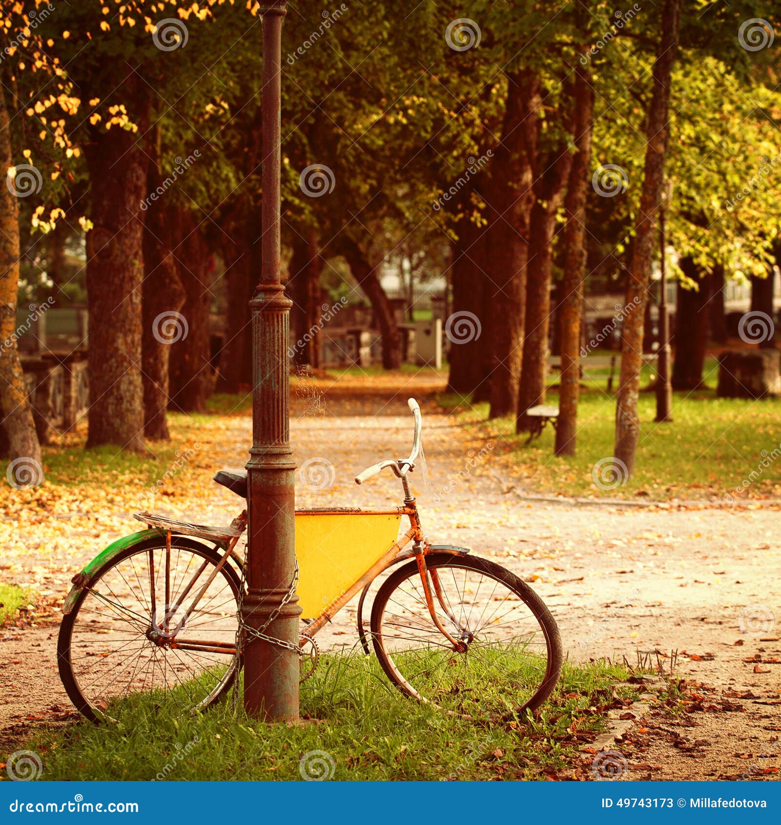 Retro Bicycle On Nature Background Stock Image Image 49743173