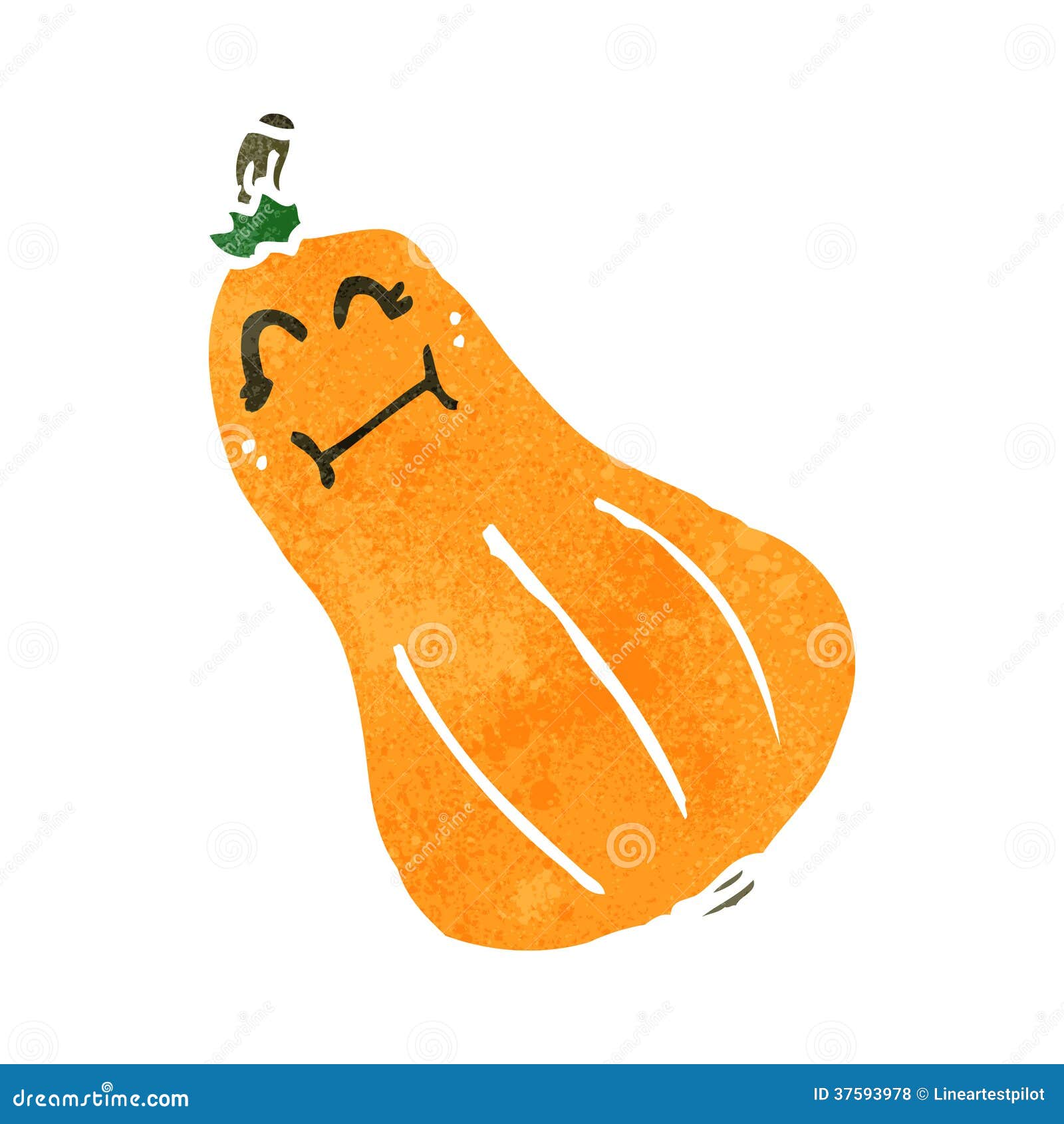 Retro Cartoon Butternut Squash Stock Vector Illustration of fashioned