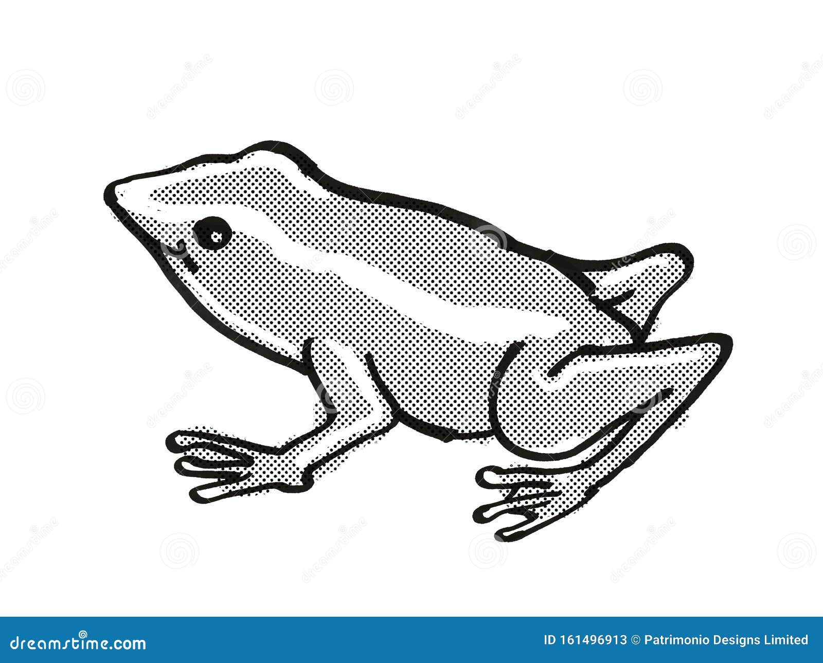 monte iberia eleuth frog endangered wildlife cartoon mono line drawing