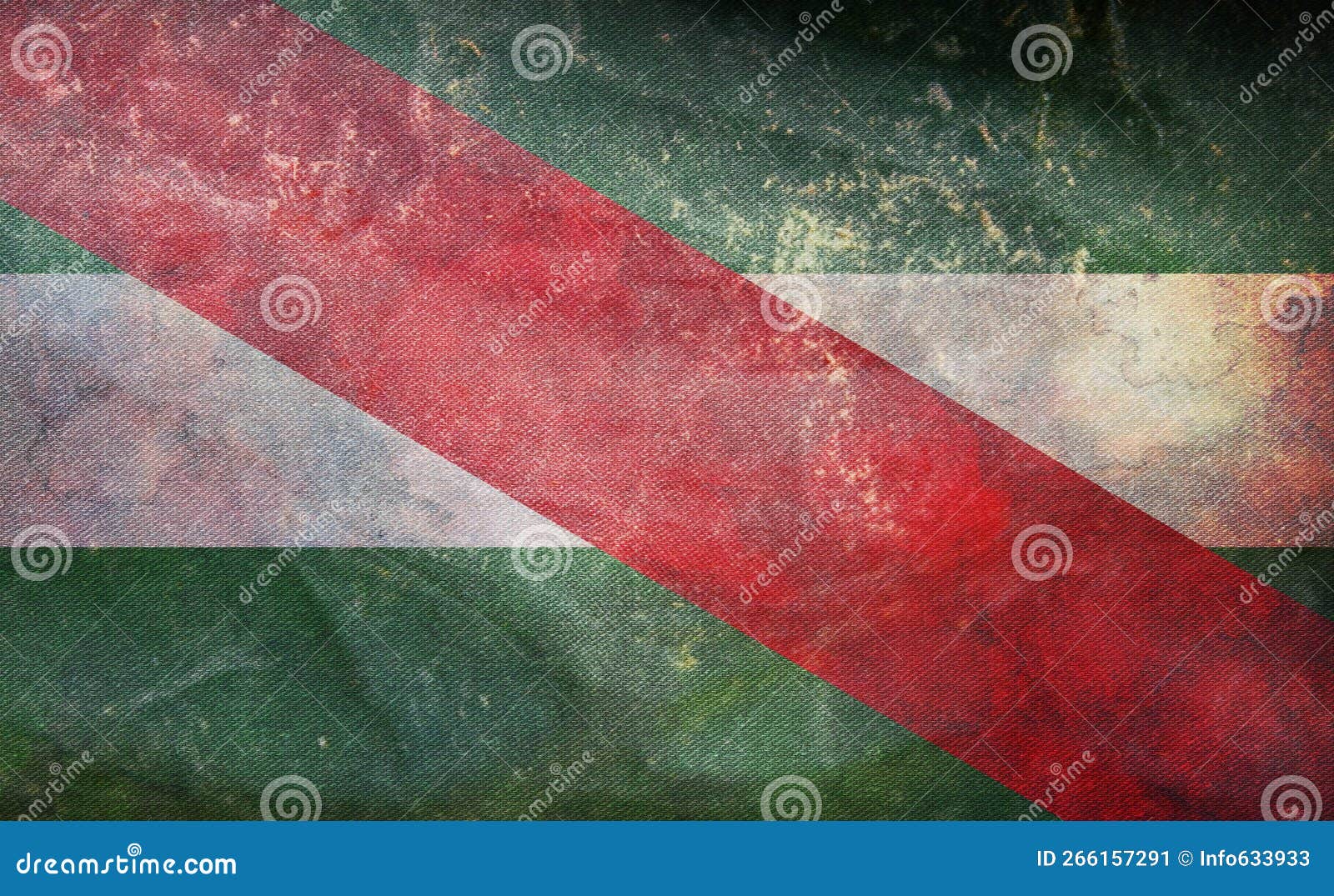 retro flag of historic peoples charrua with grunge texture. flag representing ethnic group or culture, regional authorities. no