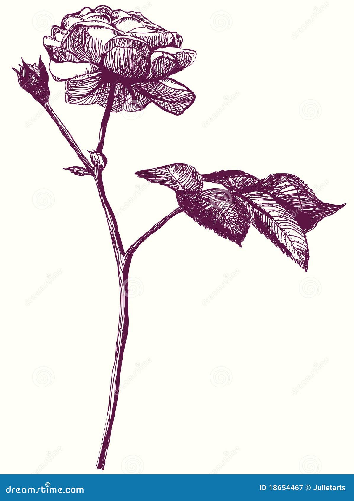 Retro Rose Flower Sketch. Hand Drawing Stock Vector Illustration of