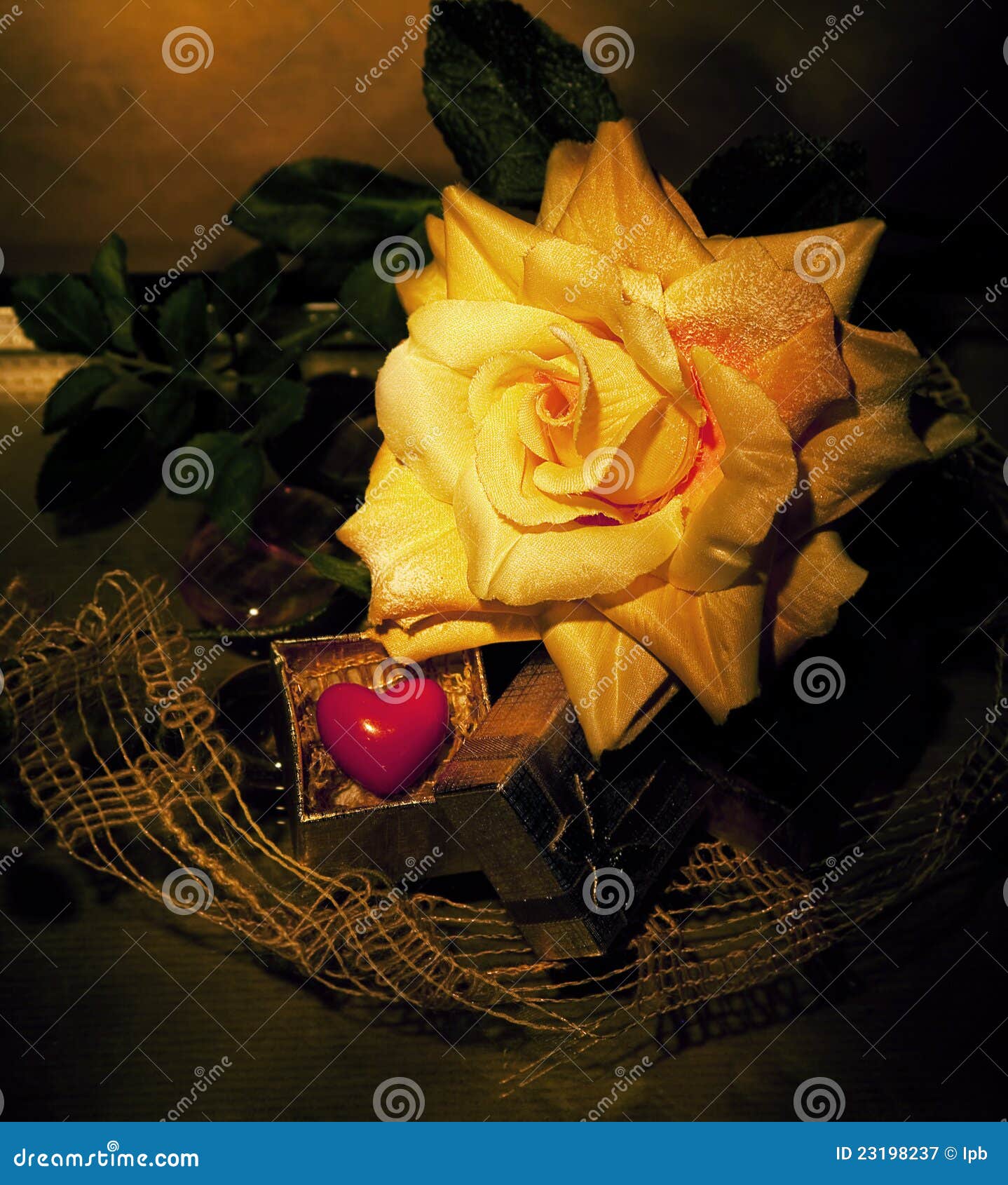 Retro Still Life Tearose and Symbol of Heart Stock Image Image of