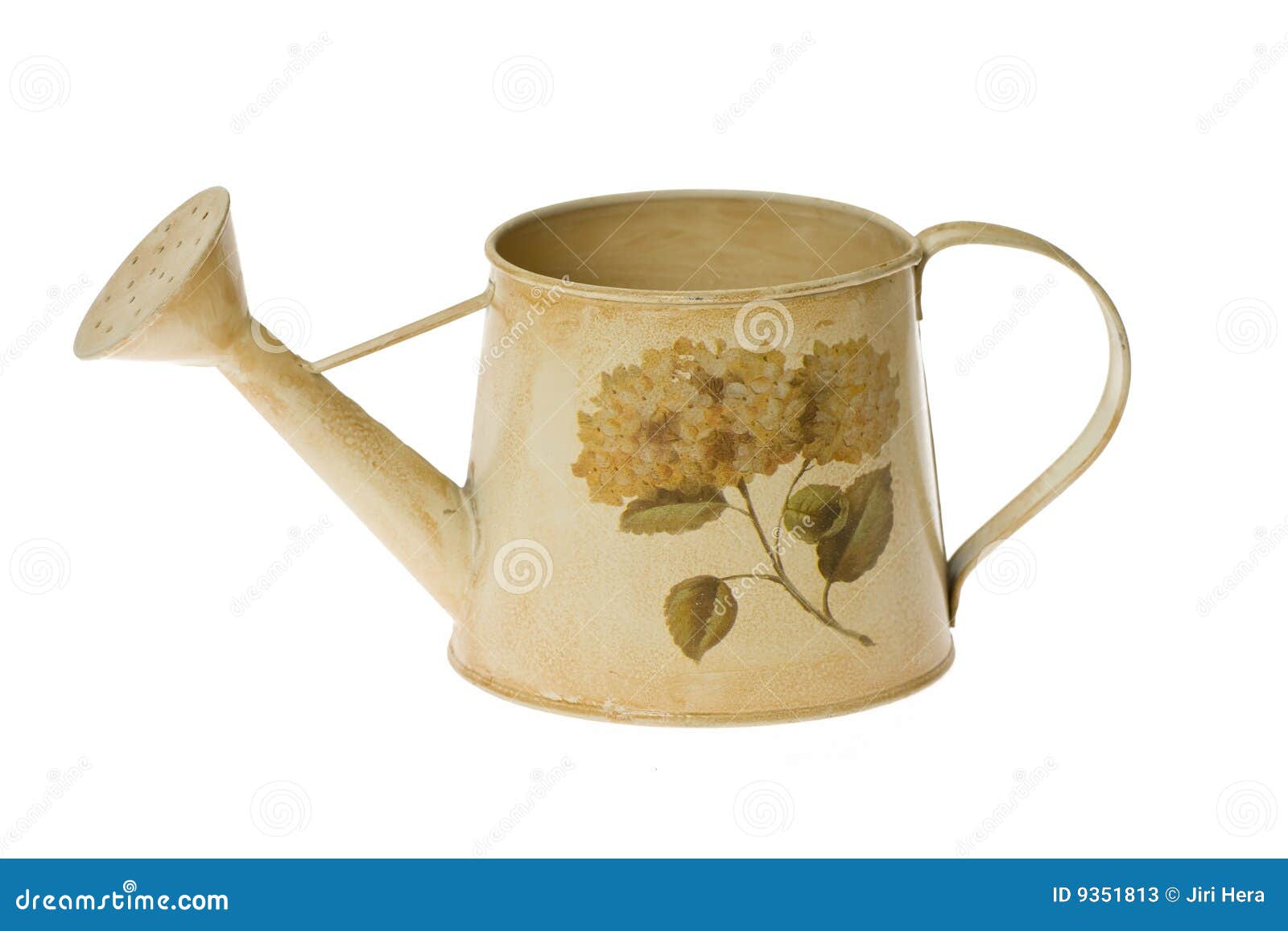 Retro watering can stock image. Image of garden, container 9351813