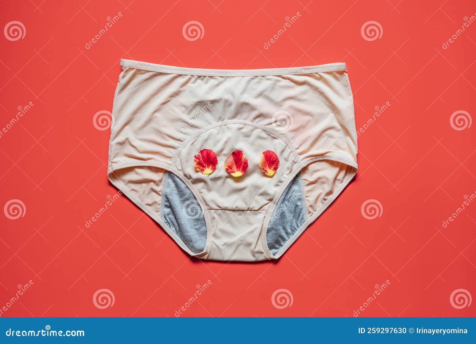 https://thumbs.dreamstime.com/z/reusable-period-underwear-red-background-absorbent-affordable-period-panties-to-absorb-menstrual-fluid-reusable-period-259297630.jpg