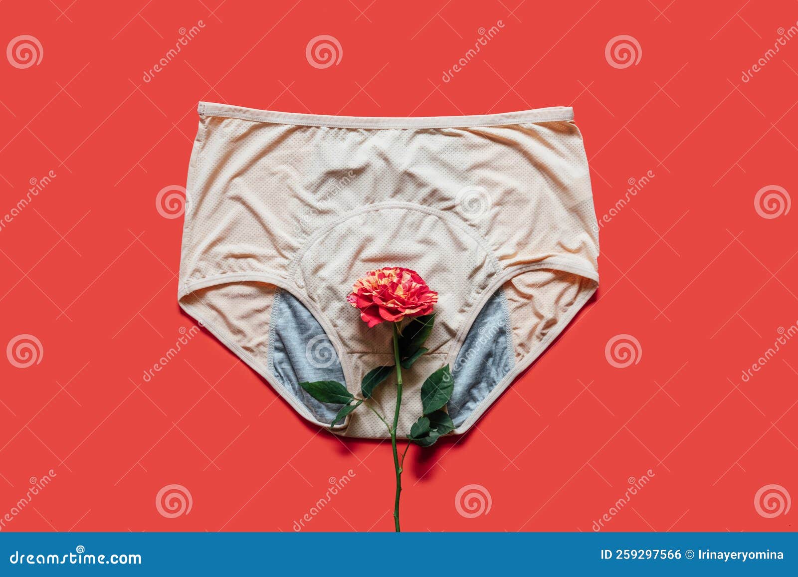 Reusable Period Underwear with Rose Flower on Red Background. Absorbent and  Affordable Period Panties To Absorb Stock Photo - Image of flower,  reproduction: 259297566