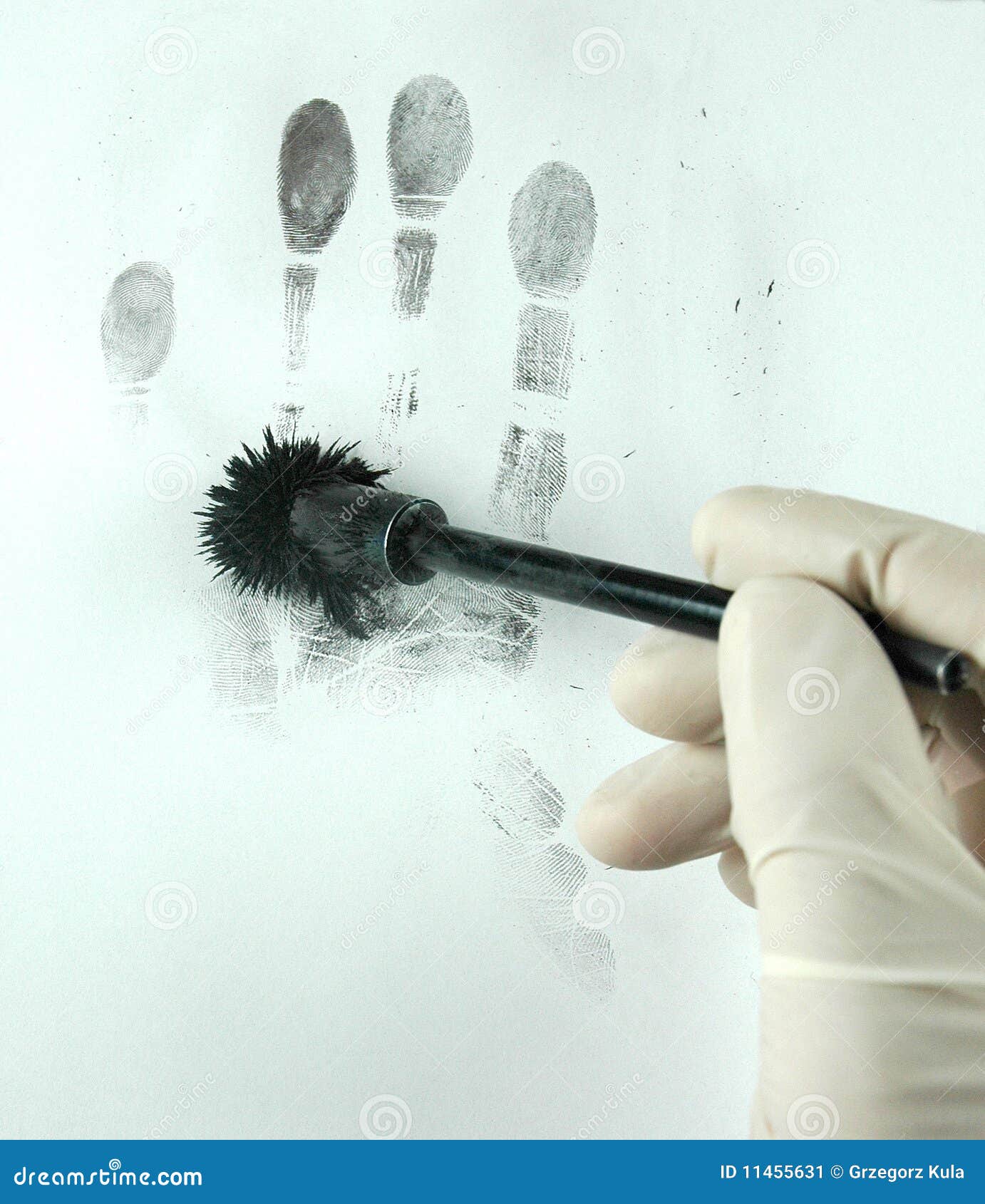 revealing the fingerprints